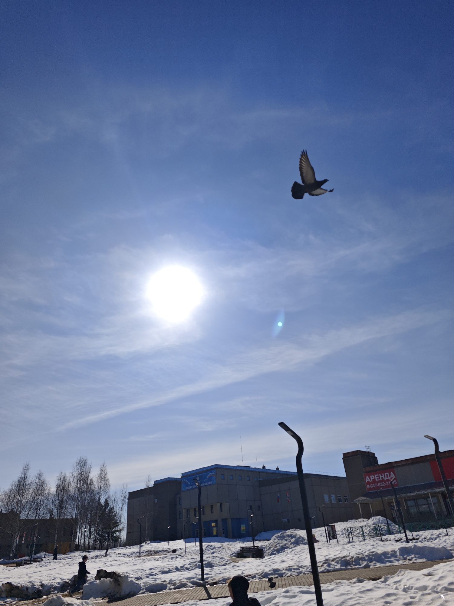 The image depicts a sunny day in Марковский, Russia, with a clear blue sky punctuated by wispy clouds and the bright sun. A pigeon is in flight against the sky. The ground is covered in snow, with patches of exposed ground. In the background, there are buildings, including one with a sign that reads "АРЕНДА" (Rent) and a phone number. There are also trees without leaves visible on the left. In the foreground, there are street lights and people.