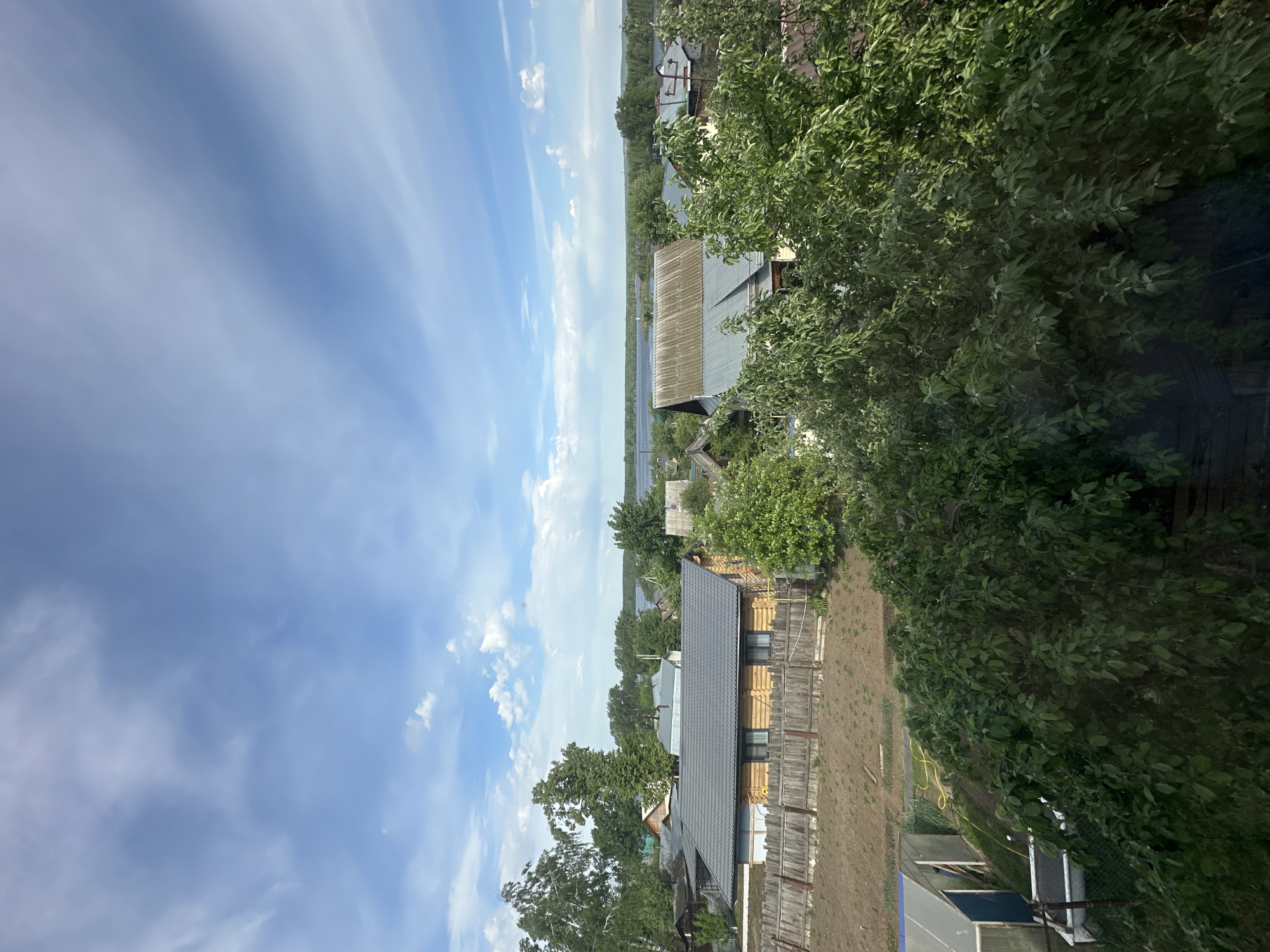 The image depicts a view of a rural or suburban landscape in Chaikovsky, Russia, characterized by houses with dark rooftops and wooden construction. The houses are interspersed with lush green trees and foliage. A waterway, likely a river, is visible in the distance, marking a horizon line. The sky is predominantly blue with streaky clouds. The overall scene suggests a calm and serene environment, typical of a countryside setting. There are no people visible. The scene appears to be taken from an elevated position, possibly from a high window or balcony.