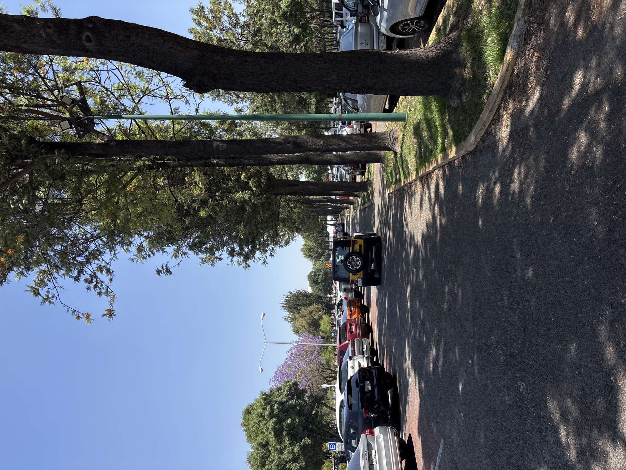 The image shows a tree-lined street in San Andrés Cholula, Mexico. Cars are parked on both sides of the street. A yellow Jeep is driving down the street. There is a sidewalk next to the street. Street lights are visible. The sky is blue.