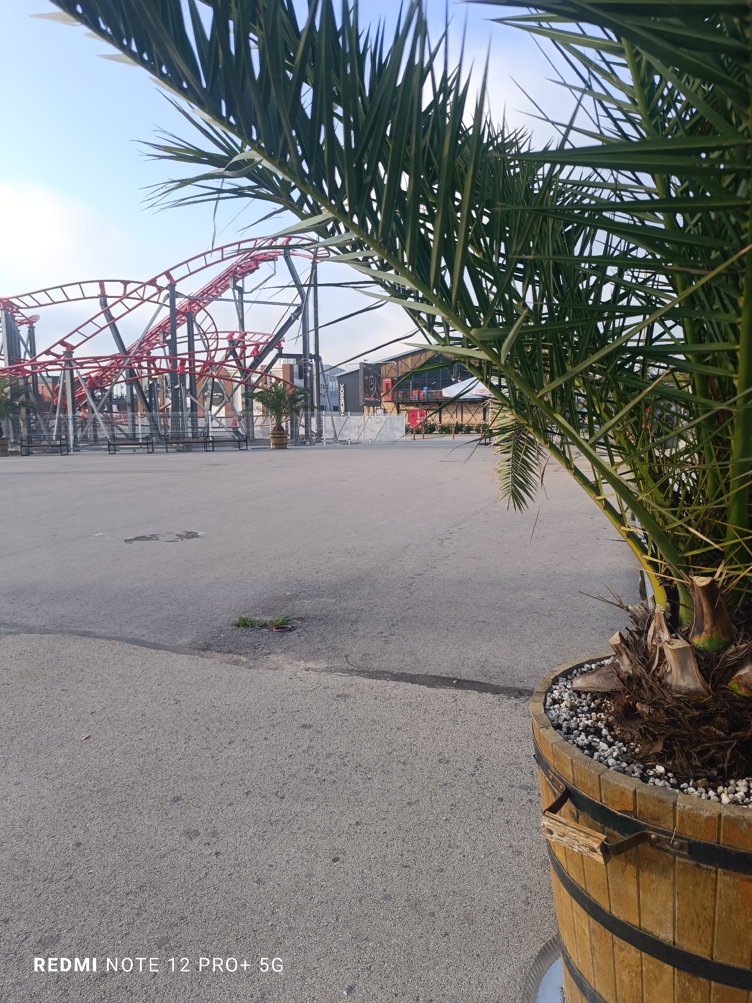 The foreground is dominated by a vibrant green palm tree, rooted in a large wooden barrel planter, its fronds spreading across the right side and top of the frame. The midground features an expansive, empty paved area of grey asphalt. In the left background, a distinctive red and black roller coaster track twists and turns, supported by a dark metal framework, indicating an amusement park setting. Further back, several dark benches are visible, and beyond them, various buildings with industrial and tent-like architectural elements complete the scene. Another smaller palm tree in a similar planter stands near the benches.
No specific activity or event is occurring; the area appears deserted, suggesting it might be outside operating hours, perhaps early morning or late afternoon, given the clear sky and soft, directional light creating subtle shadows. The atmosphere is quiet and serene. This setting is located in Varna, Bulgaria, a coastal city.
Visible text includes a camera watermark "REDMI NOTE 12 PRO+ 5G" in the bottom left corner of the image, and the word "THE BRICK" partially visible on a sign or building in the middle-right background.