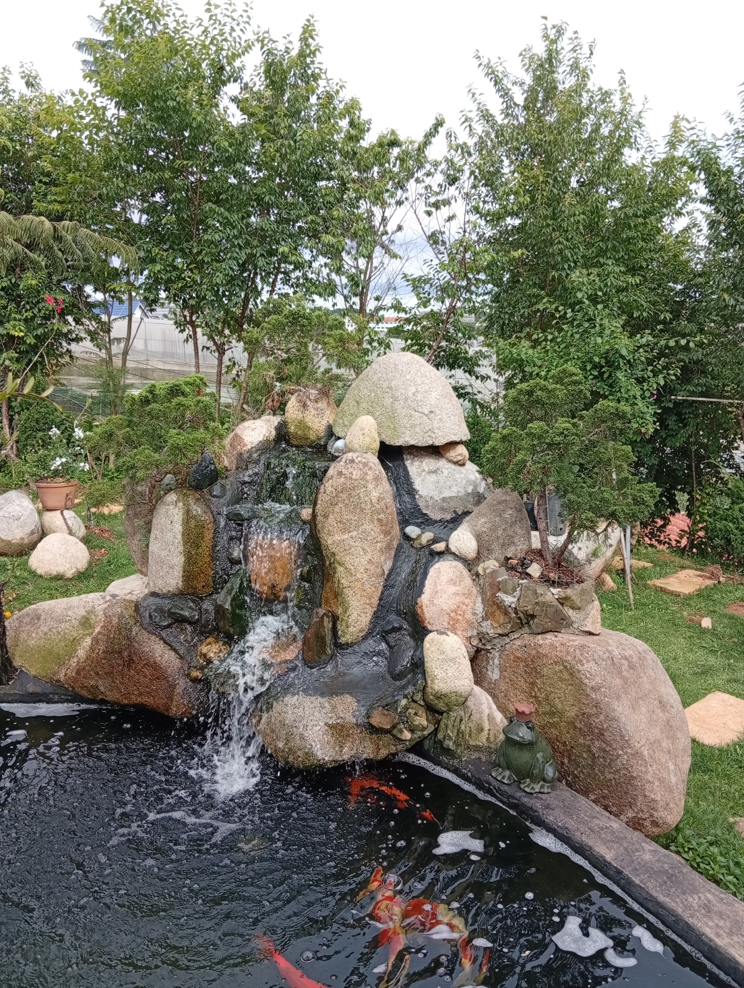 The image depicts a koi pond and waterfall feature in a garden setting. The waterfall is constructed from large, natural stones of varying sizes and colors, with water cascading down into the dark pond below. Several koi fish are visible swimming in the pond. A green frog statue, adorned with a hat, sits on the edge of the pond. The pond's border appears to be concrete or stone. The garden around the pond features green grass, trees, and other plants, providing a natural backdrop. The location is Lạc Dương, Vietnam.