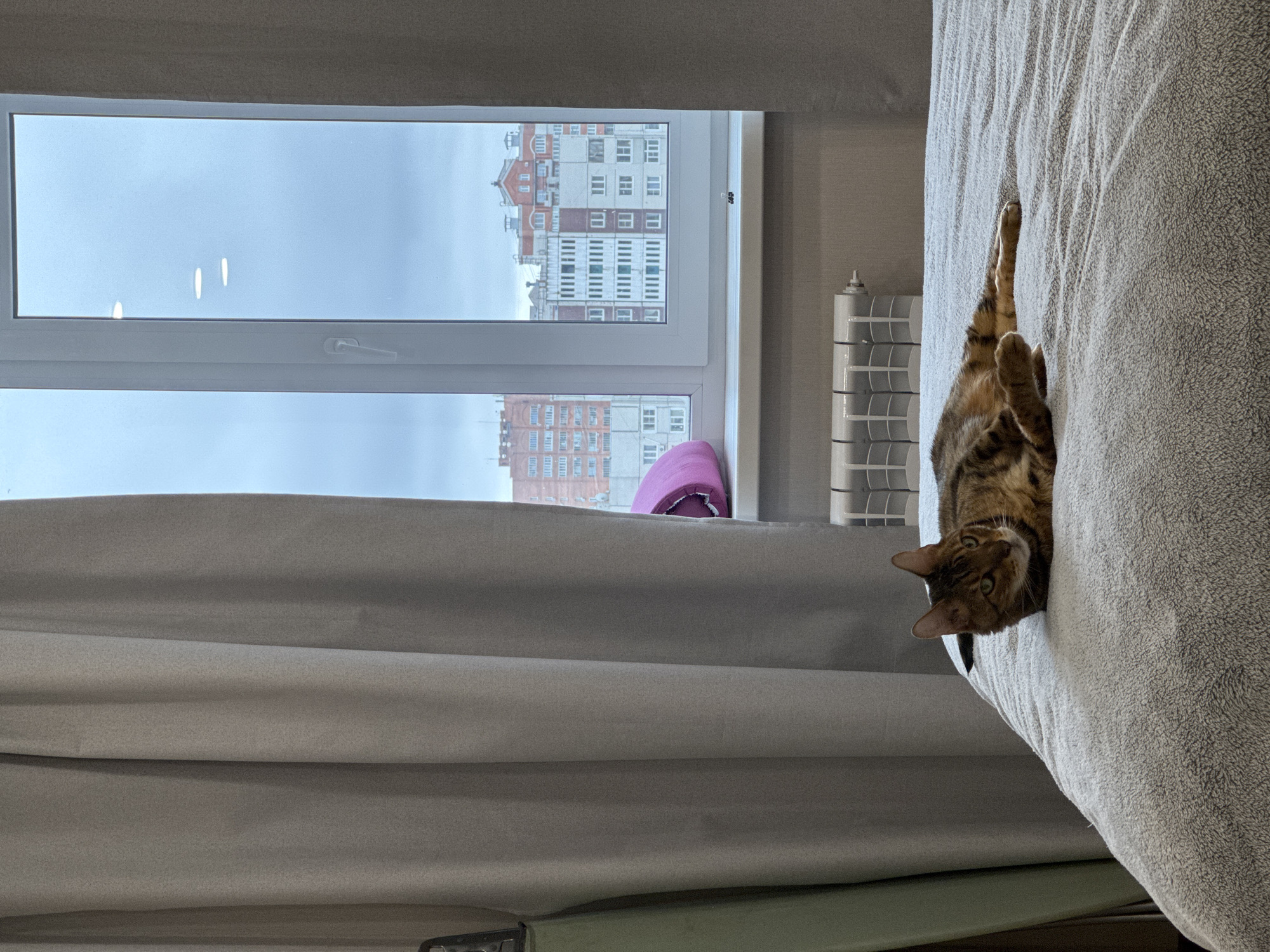 The image, which appears to be rotated 90 degrees clockwise, depicts a cozy indoor scene with a cat and a window view.
In the foreground, a brown tabby cat with distinct black stripes is relaxing on its back on a textured, light grey blanket or duvet. Its front paws are stretched upwards, and its head is turned, looking directly towards the viewer with a curious expression.
To the left of the cat, a large white-framed window dominates the background. Outside the window, an urban or suburban landscape is visible under an overcast sky. Several multi-story apartment buildings with red-brick and white/grey facades can be seen through the glass. Light grey curtains are partially drawn on the left side of the window, and a white radiator is located below the windowsill on the right. A small, vibrant purple object, possibly a cushion or toy, rests on the windowsill.
In the far right background, a white plastic storage unit with multiple drawers is partially visible. The overall ambiance suggests a quiet daytime setting, likely in a bedroom or living room, with a relaxed pet. There is no visible text in the image.