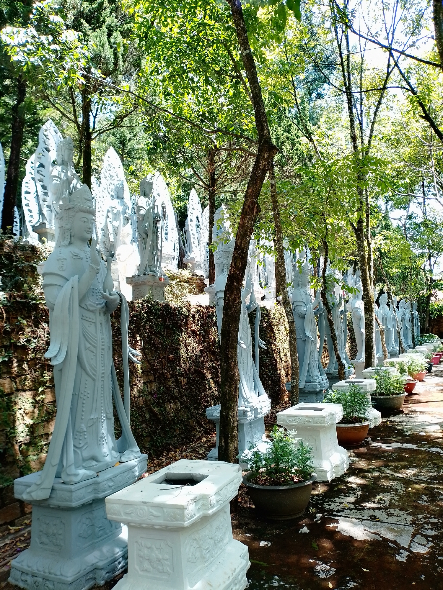 The image depicts a tranquil scene at the Linh Phuoc Pagoda in Nam Ban, Vietnam. A row of pale, gray-white statues of the Bodhisattva Avalokiteshvara, also known as Quan Yin, stand in a line along a slight incline, some elevated on stone platforms. A wall covered in green moss serves as a backdrop to a section of the statues. Several young trees with slender trunks and lush green leaves are interspersed among the statues, their branches creating dappled sunlight on the ground. A series of dark terracotta flower pots, each containing small green plants, are placed at the base of the statues. The ground appears to be a combination of wet and dry areas, with patches of dark and light-colored stone or concrete. The area is a quiet, contemplative space within the temple complex.