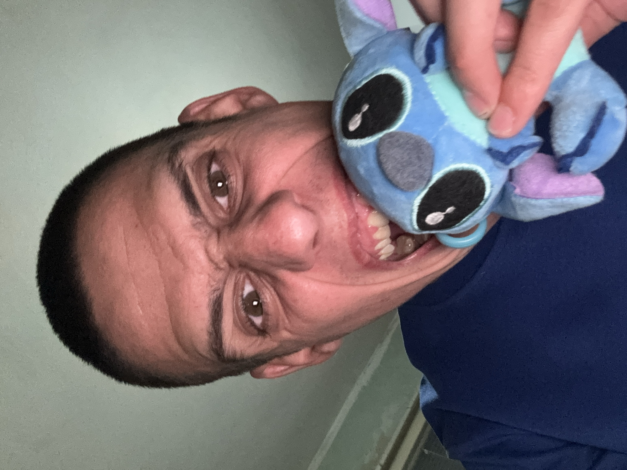 A man with short black hair is holding a blue Stitch plush toy up to his face. He is grinning widely, with his teeth visible, as though he is about to bite the toy. The plush toy is in the top right of the frame. The man is wearing a dark blue shirt. The background appears to be a light-colored wall. No landmarks indicate the location is Sofia, Bulgaria.