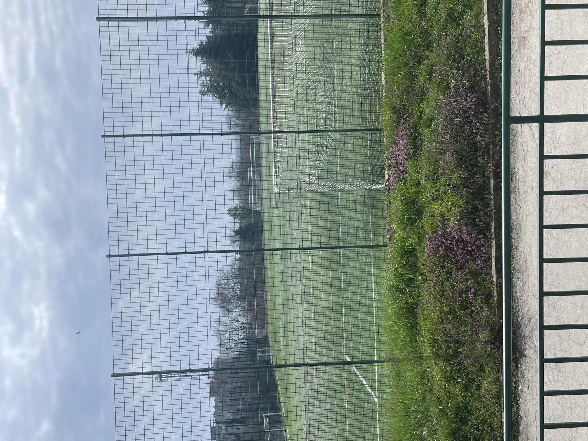 A sideways perspective shows a green artificial turf soccer field enclosed by a green metal mesh fence. The field has painted white lines and two white soccer goals at opposite ends. Beyond the field, a row of trees stretches across the horizon, with buildings visible behind the trees on the left side. Patches of green grass and purple flowers grow along the edge of the field beside the fence. The right side of the image has a concrete sidewalk and a partial view of another fence. The sky is overcast with grey clouds. A small airplane is visible in the sky to the left. The location is in Varna, Bulgaria.