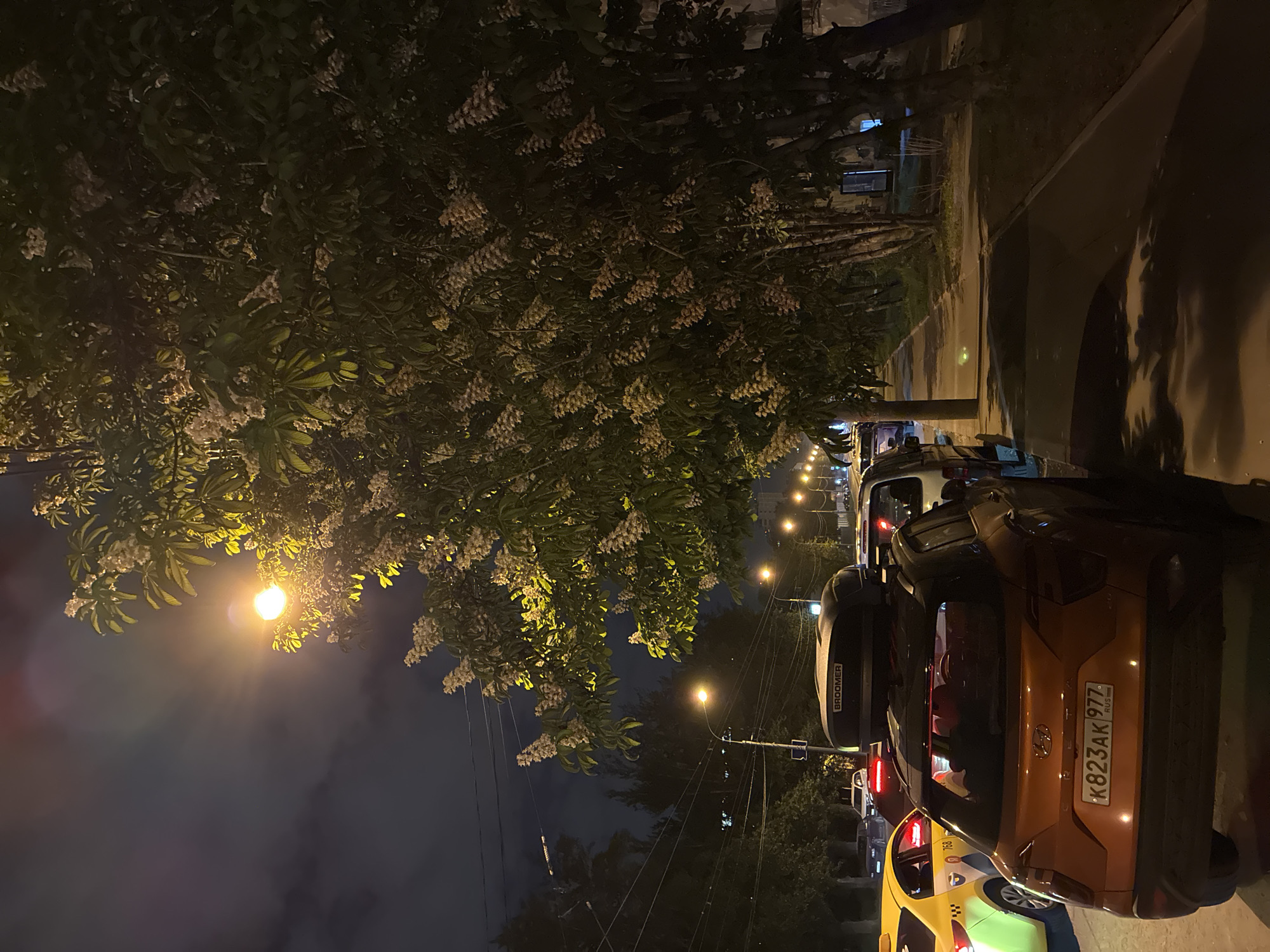 At night, a line of cars is parked on a city street in Moscow, Russia. A large tree with small white flowers is in the foreground to the left. A bright streetlight illuminates the tree. The closest car to the viewer is orange and has a license plate reading "K 823 AK 977." The second car has a black roof box on top. A yellow taxi is partially visible behind the orange car. Streetlights are visible down the street. A sidewalk is visible to the right. Power lines are in the sky above.