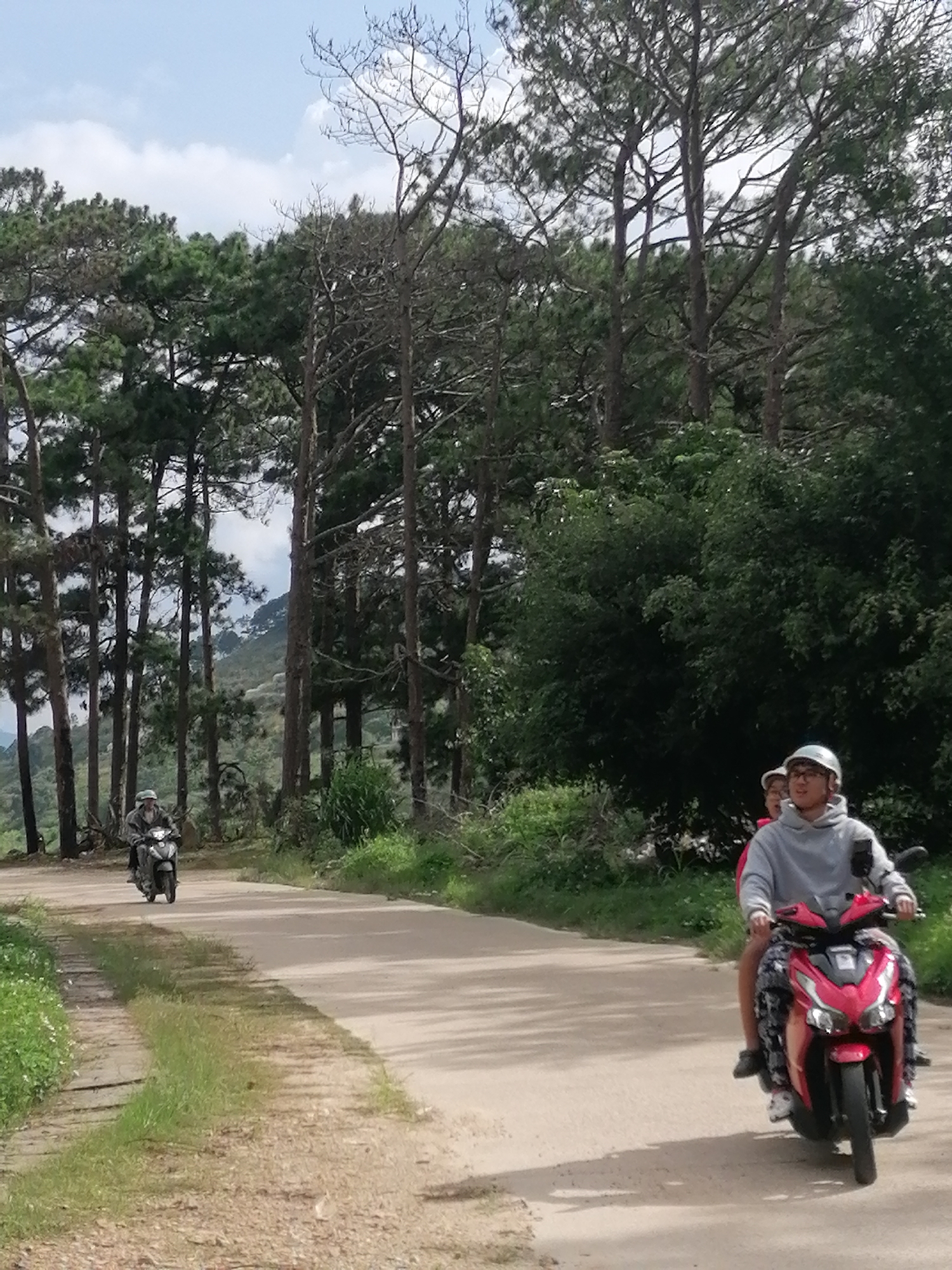 A dirt road with a paved section runs through a forested area with tall pine trees. Two motorcycles are visible. The first motorcycle, ridden by a person in a helmet and light-colored jacket, is further up the road on the paved section. The second motorcycle, a red and black scooter, is closer to the foreground and carries two people wearing helmets. The person in front is wearing a grey hoodie, and the person behind is wearing a pink top and patterned leggings. Both are looking forward. The environment is natural, with dense green foliage and clear skies. The scene appears to be a scenic route in Lộc Quý, Vietnam.