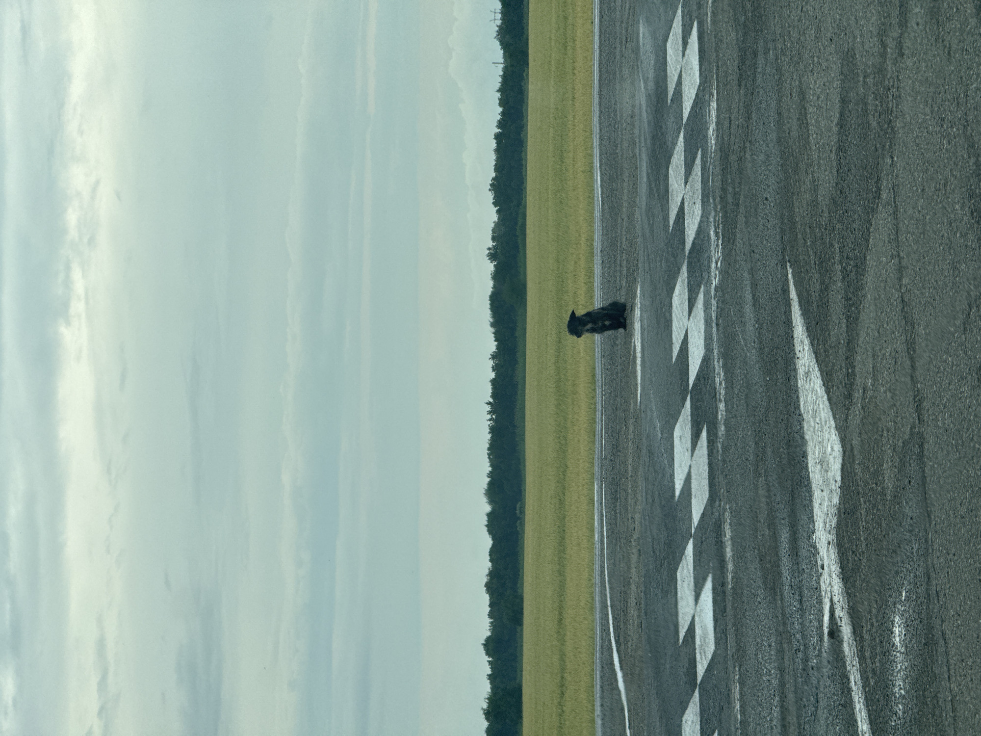A lone, dark-colored dog sits on an asphalt surface marked with white lines. The dog is facing to the left of the frame. Behind the dog, a field of tall, yellow grass stretches horizontally across the image, bordered by a dark line of trees. Above the trees, a pale blue sky is filled with layered, grey clouds. The scene is set on the outskirts of Kochubeyevskoye, Russia, likely an airfield or a large, open industrial area given the markings on the ground. The overall atmosphere is quiet and somewhat desolate.