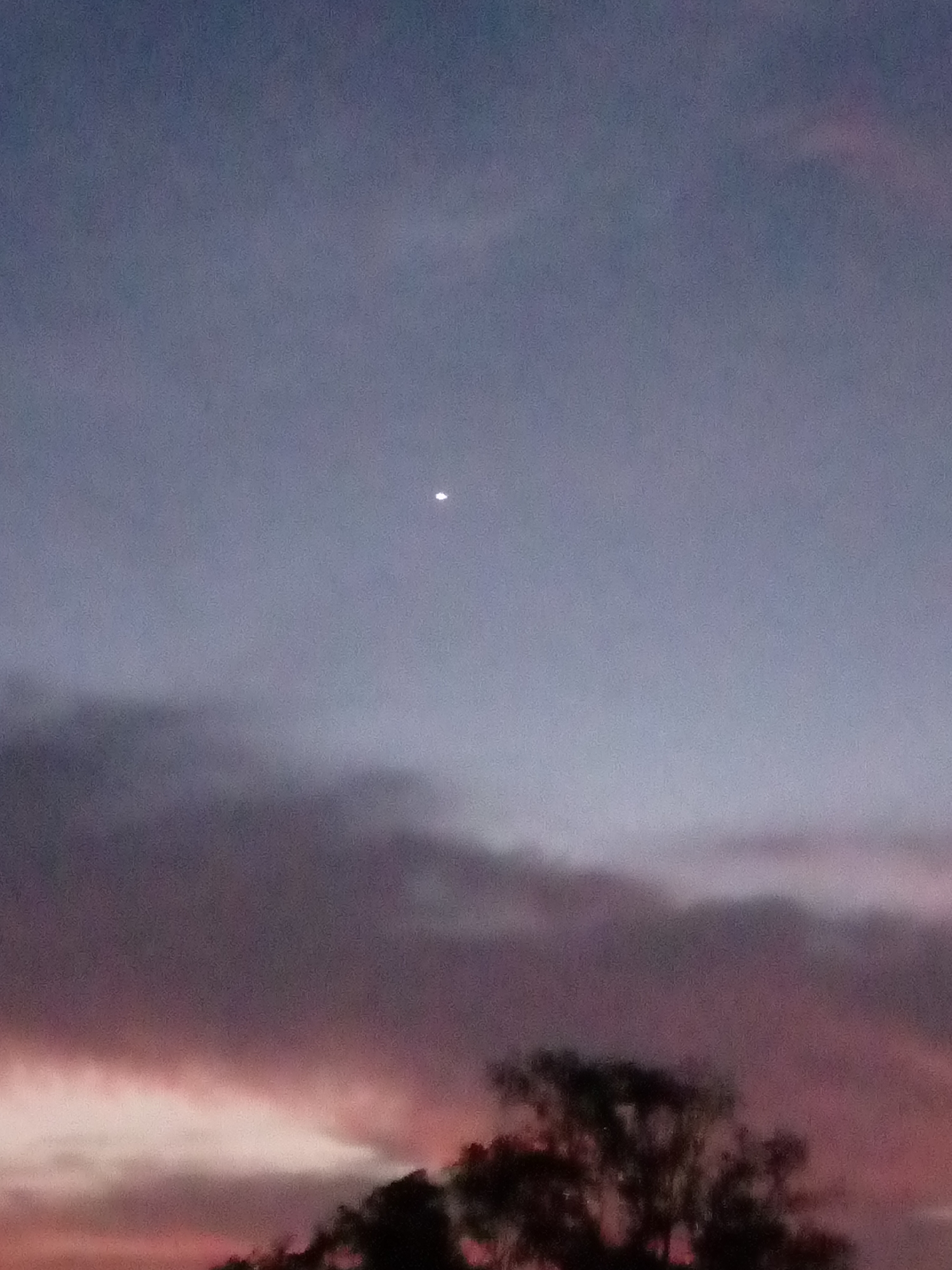 The image shows a night sky in Juan Griego, Venezuela, at dusk or dawn. A single, bright star or planet is visible in the center of the frame. The sky is a gradient of purples and grays. There are clouds, and the silhouette of a tree is visible at the bottom of the frame.