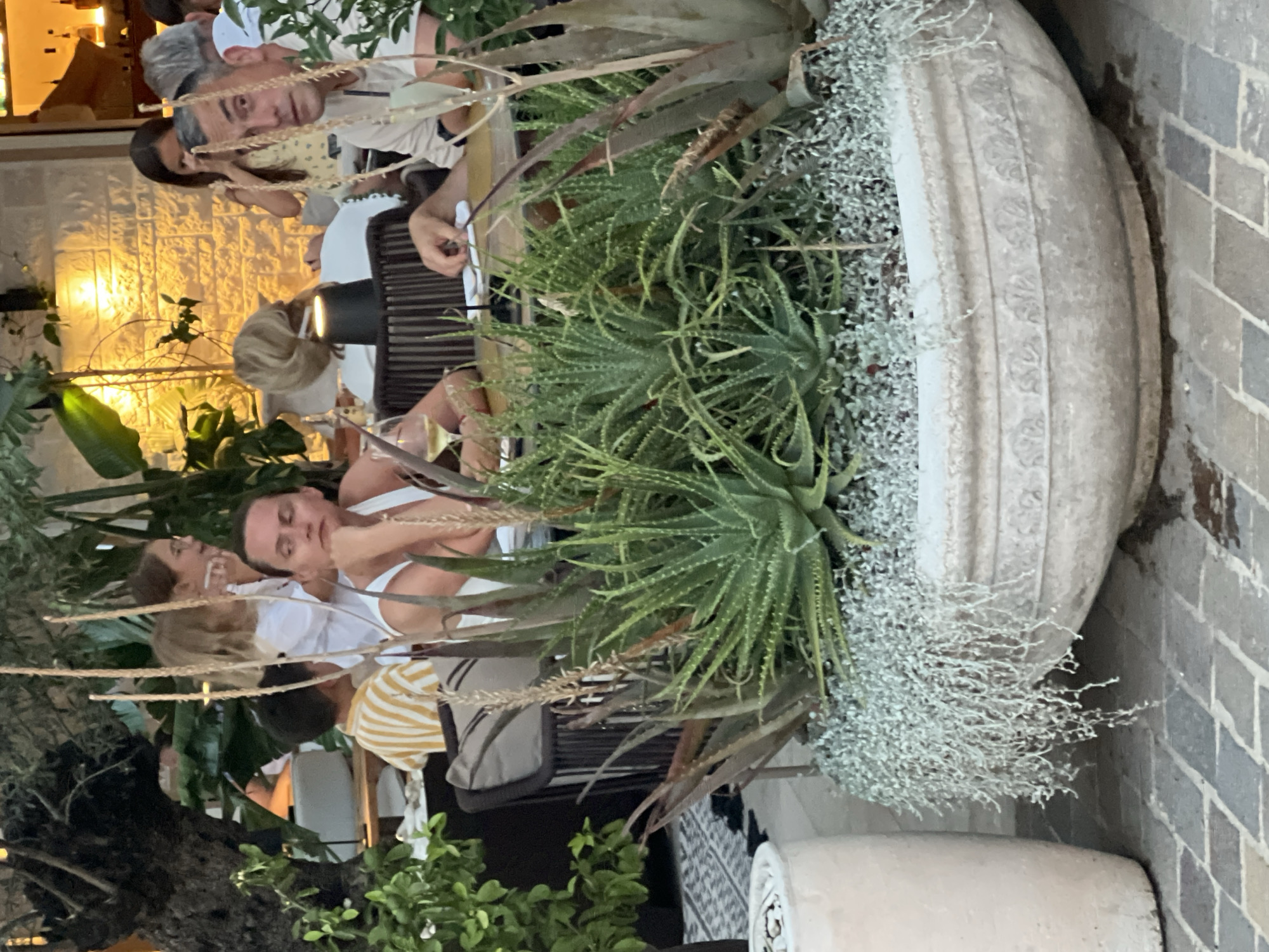 In Đenovići, Montenegro, a group of people are seated at tables in an outdoor restaurant setting. In the foreground, a large, ornate stone planter overflows with succulent plants, including aloe vera and trailing ground cover. Behind the planter, a woman in the foreground with dark hair is resting her chin on her hand, looking to the left. To her right, a man with graying hair is looking directly at the camera. Other individuals, including children, are visible in the background, some interacting with each other. The restaurant appears to be situated in a lush, green environment, with trees and foliage contributing to the atmosphere. The lighting suggests it is either late afternoon or early evening.