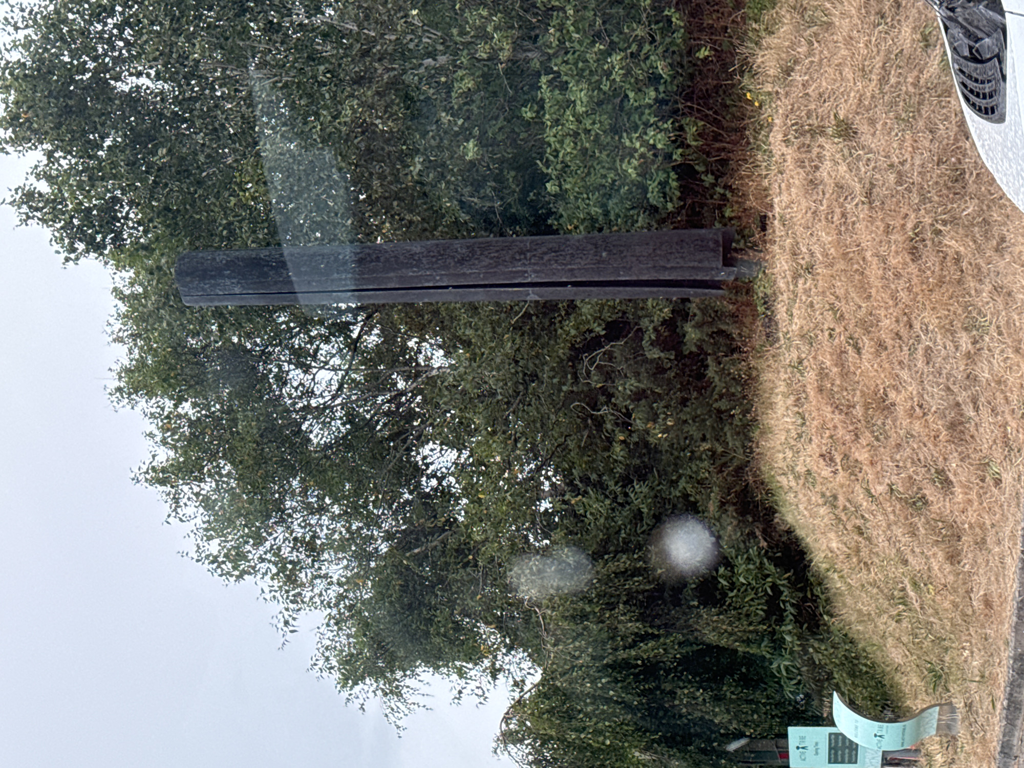 The image shows a tall, dark, weathered wooden post standing on a dry, grassy mound. The post has a vertical seam running down its center. Behind the post, a dense line of green trees and foliage forms a backdrop. The sky above is overcast and light grey. To the left of the post, partially obscured by the trees, is a sign with a curved white element at its base. The sign has text on it, but it is not clearly legible. The foreground shows dry, yellowish grass and a portion of a white vehicle's roof. The overall scene suggests an outdoor location, possibly a park or roadside, in Courtown, Ireland. There are no people visible in the image.