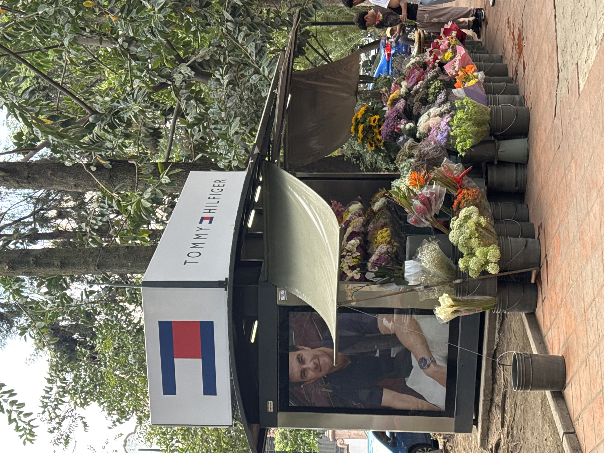 The image presents an outdoor flower stall in Mexico City, brightly illuminated during the daytime. The central feature is a dark-framed kiosk topped with a light gray canopy, displaying a prominent white sign. This sign features the "TOMMY HILFIGER" brand name and its iconic red, white, and blue rectangular flag logo. Below the sign, a large display window shows a smiling man in a dark polo shirt, wearing a wristwatch on his left arm.
The stall is surrounded by a profusion of colorful flowers, neatly arranged in numerous dark gray buckets. The selection includes vibrant yellow sunflowers, various shades of purple, white bouquets (such as lilies or baby's breath), orange blooms, and distinctive green florets, some of which are wrapped in clear plastic or decorative paper. These buckets line the light brown tiled pavement, extending along the side of the stall.
In the background, large trees with dense green foliage provide natural shade. Several people are visible in the distance, engaged in casual street activities, and a blue car is partially seen. The scene conveys a lively urban atmosphere under clear weather conditions.