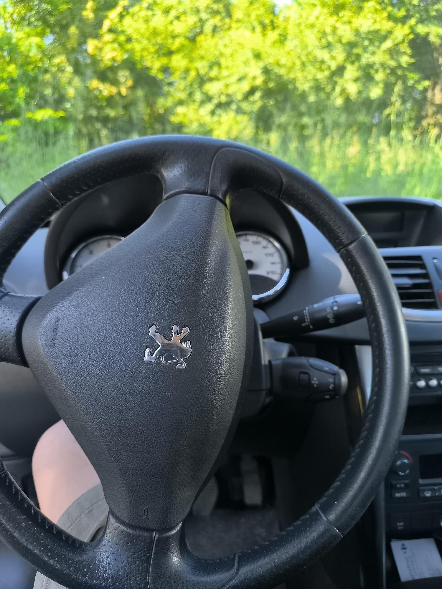 The image shows the interior of a Peugeot car, focusing on the steering wheel with the Peugeot logo prominently displayed. The dashboard, speedometer, and control panels are partially visible. Outside the windshield, there is a blurry view of trees and green foliage. Part of the driver's leg wearing shorts is visible. The image suggests the car is either parked or moving slowly in an area with lush greenery. There is no information in the image that would relate to Chaponnay, France.