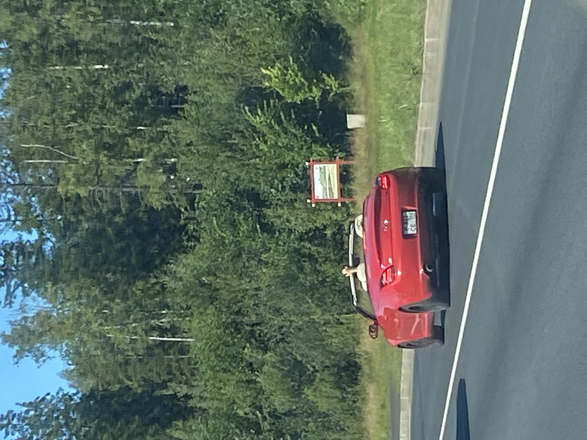 A red convertible car, possibly a Lexus SC, is driving on a highway bordered by a grassy shoulder and a dense forest. The car has its top down, and two individuals are visible in the front seats. The rear license plate of the car is partially visible, displaying the characters "CE 398". In the background, to the right of the car, a red-framed sign with an image is posted. The sky is clear and blue.