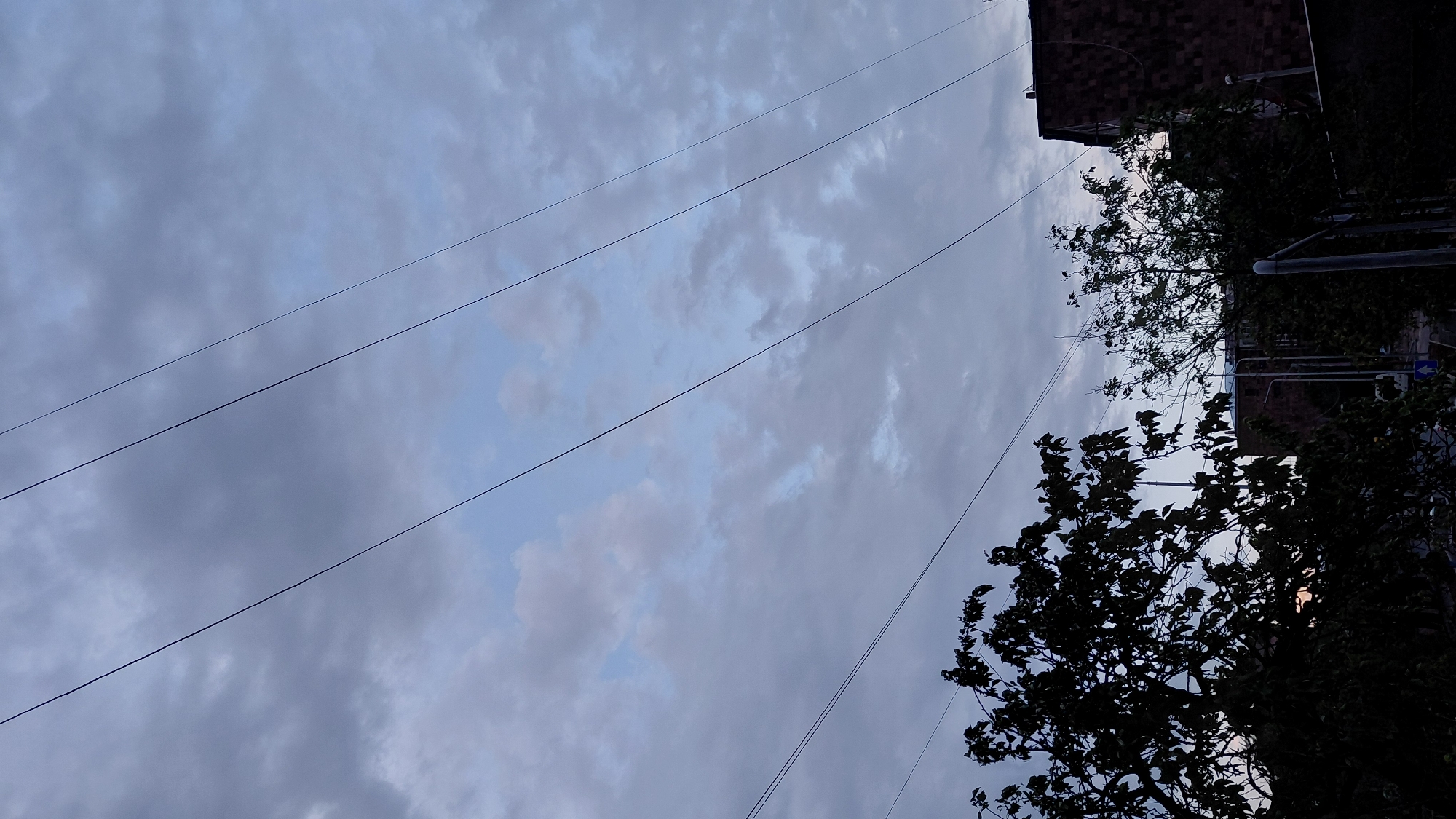 The image depicts a view of the sky with scattered clouds and power lines, as seen from Abovyan, Armenia. In the foreground, the dark silhouettes of trees with dense foliage obscure the lower portion of the frame. To the right, the roofline and upper facade of a building with a reddish-brown shingled roof are visible. Several parallel power lines traverse diagonally across the sky from the upper left to the lower right. The sky is a muted blue with shades of gray and white from the clouds, suggesting either early morning or late evening. The environment appears to be an urban or suburban setting.