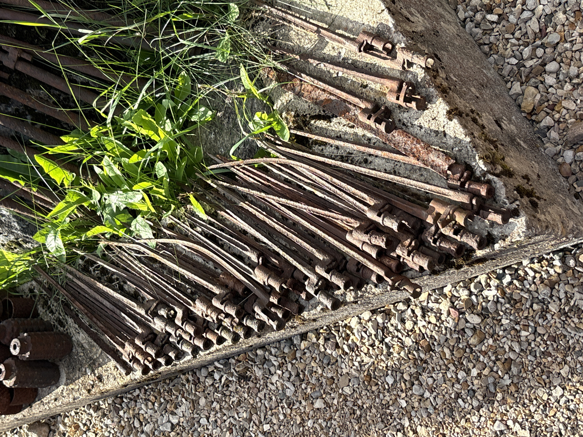 The image shows a close-up, high-angle shot of a collection of rusty, old metal objects, possibly part of an old structure or discarded machinery. These objects are laid out diagonally on a concrete surface that is partially covered with gravel and surrounded by green grass and weeds. The metal items are thin and rod-like, with some having distinct circular or cylindrical components at one end. They appear to be arranged in a dense, layered fashion. In the background, more of these metal objects are visible, along with some darker, cylindrical items which might be old ammunition or barrels, partially obscured by vegetation. The lighting suggests it is daytime, with strong sunlight creating shadows. The overall impression is one of decay and neglect, with nature slowly reclaiming the man-made objects. The location is identified as Zhalybnya, Russia.