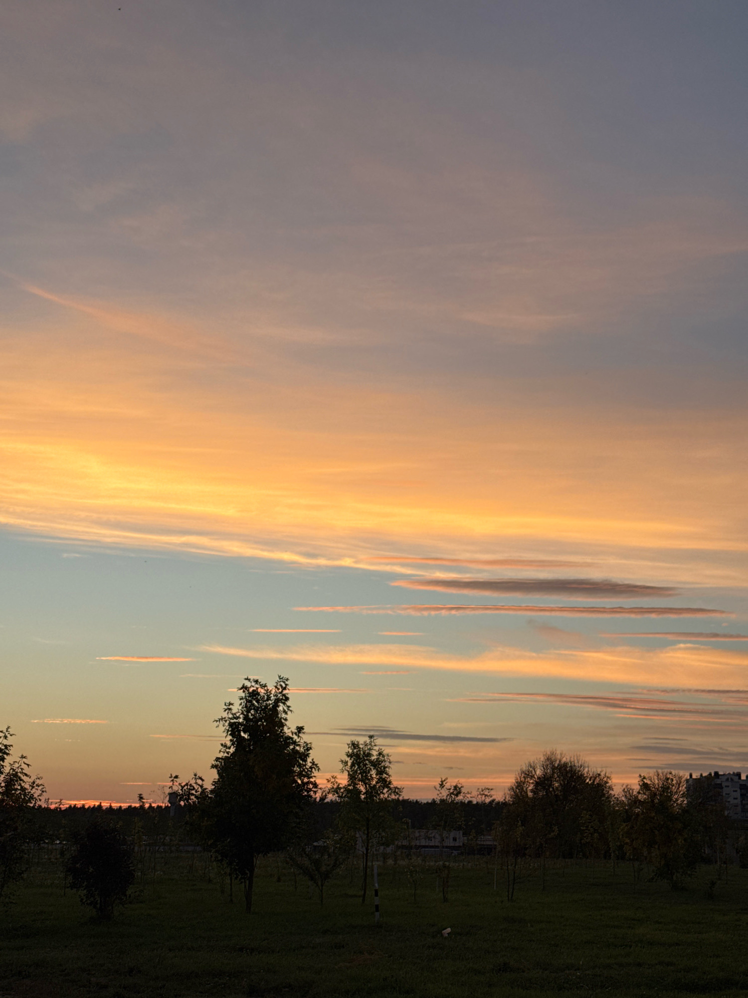 This is a photograph of the sky over a park area, likely taken at dusk. The sky is a gradient of soft colors, with hues of orange, pink, and blue from the setting sun. Wispy clouds stretch across the sky, catching the light and creating streaks of color. Below the sky, the silhouette of trees and some low-lying vegetation is visible against the darkening landscape. In the far distance, a few buildings are discernible, suggesting an urban or suburban setting. The foreground is a patch of grass. The overall impression is a peaceful, natural scene with hints of human presence in the background.