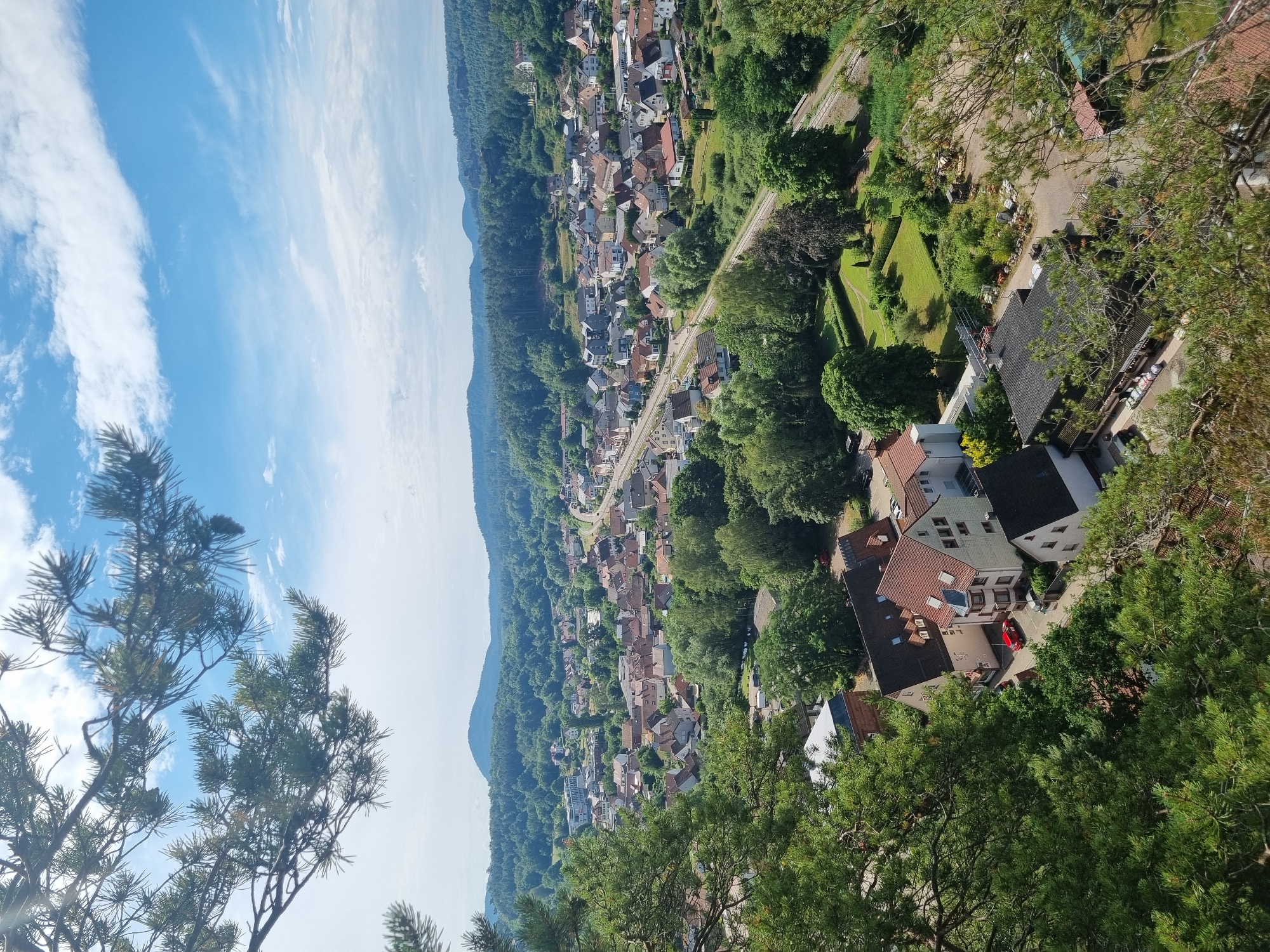The image is a high-angle, panoramic view of the town of Dahn, Germany, taken from a wooded hilltop. In the foreground, lush green pine branches and needles partially obscure the view. Below, a dense residential area with red-tiled roofs and white and light-colored facades sprawls across the landscape. A road winds through the town, with visible train tracks running parallel to it in some sections. Beyond the town, rolling hills covered in dense green forests stretch to the horizon, meeting a bright blue sky dotted with white, wispy clouds. The scene is bathed in natural sunlight, suggesting it was taken during the daytime. No people are discernible in the image. The overall impression is one of a peaceful, scenic town nestled within a heavily forested natural environment.
