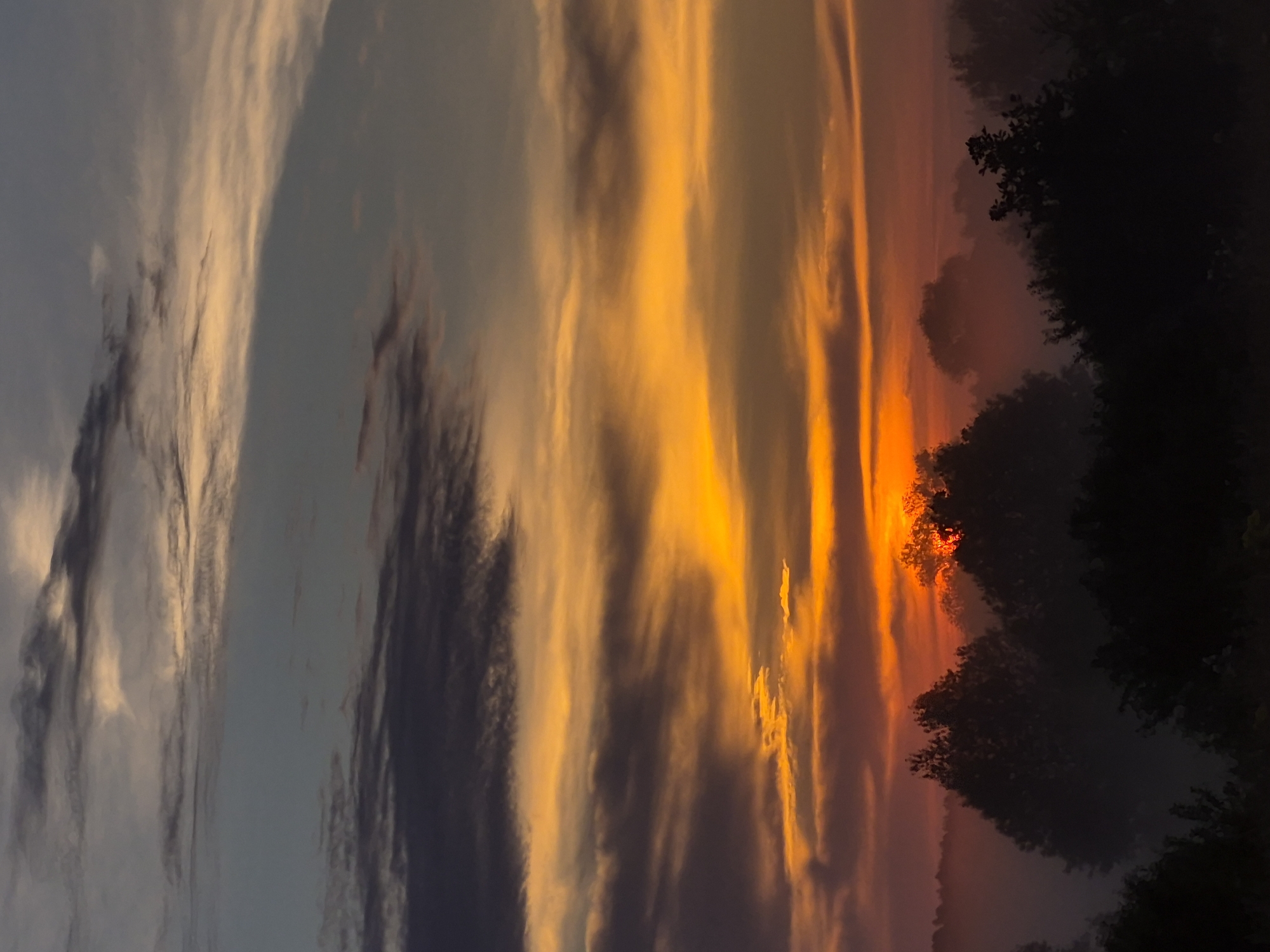 The image captures a sunset over a rural landscape, possibly in or near Sooblase, Estonia. The sky is filled with dramatic clouds painted in hues of orange, yellow, and grey, with streaks of soft peach and dark charcoal. The sun appears to be setting behind a thick layer of mist that blankets the treeline, obscuring the horizon and creating a soft, diffused glow. Silhouetted trees, their branches intricate against the sky, rise from the mist, some appearing partially obscured. The overall impression is one of a serene, atmospheric evening.