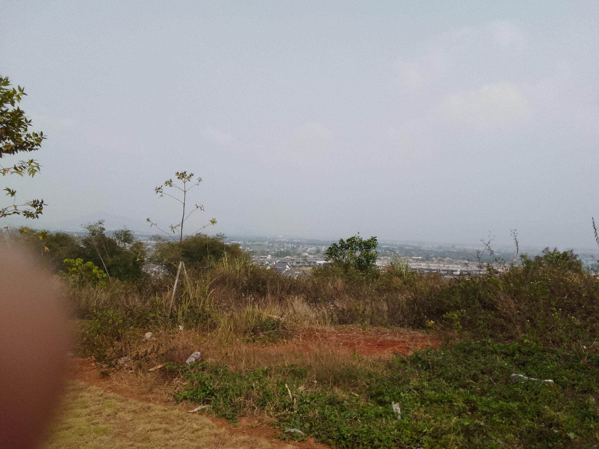 The image depicts an overgrown hillside overlooking a developed area with houses and buildings in the distance. The foreground is characterized by dry grass, red soil, and scattered green vegetation. Several pieces of plastic litter are visible among the foliage. In the mid-ground, there is a dense arrangement of dry and green grasses and bushes, with a few thin trees. In the background, a city or town landscape stretches across the horizon under a hazy, overcast sky. The environment appears to be a natural, unkempt hillside bordering a suburban or urban area. The exact location is identified as Bojonghaleuang, Indonesia. There are no people visible in the image.
