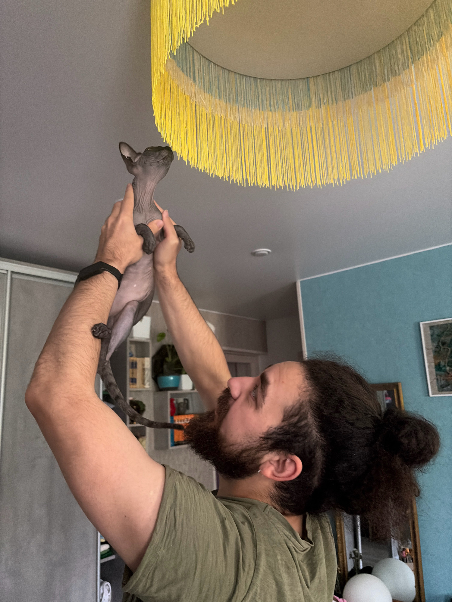 A person with dark, curly hair tied in a bun and a beard is holding a hairless cat aloft with both hands. The cat is grey and appears to be a Sphynx breed. The person is wearing a green t-shirt. They are indoors, with a ceiling fixture made of yellow yarn hanging overhead. In the background, there are shelves with various objects, a framed picture on a blue wall, and a mirror reflecting two white spherical objects. The scene is likely a residential interior.