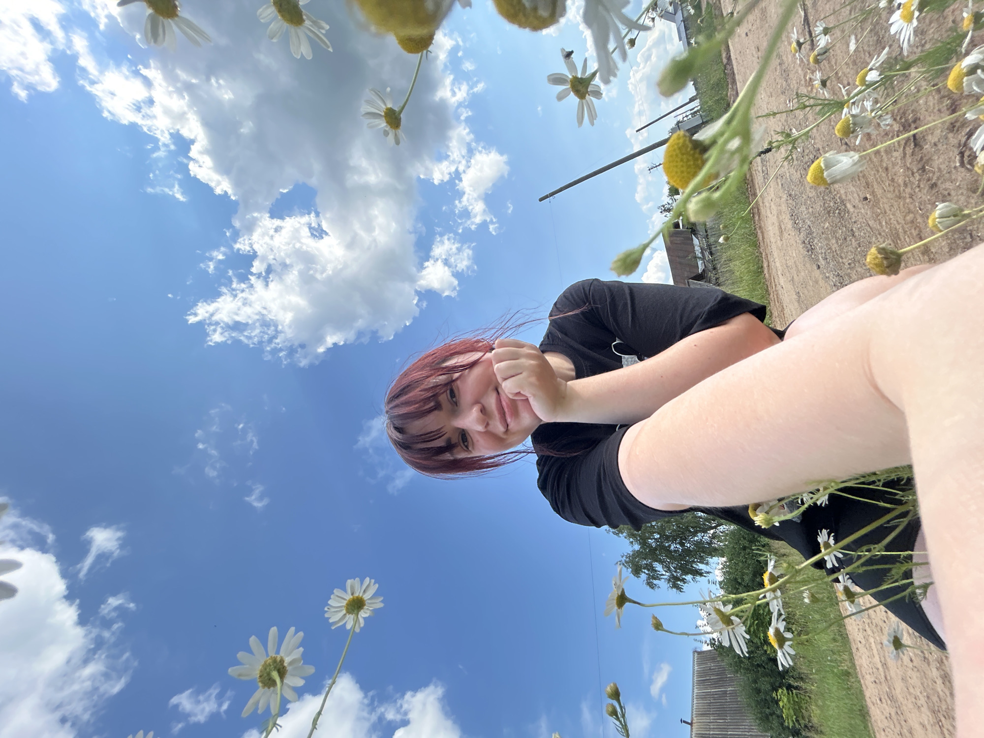 In the city of Foky, Russia, a young person with red hair is taking a selfie outdoors. They are wearing a black t-shirt and resting their chin on their hand. The background features a bright blue sky with white, fluffy clouds. Numerous daisies are in bloom, some in the foreground and others scattered throughout the scene. A dirt road, some trees, and simple buildings are visible in the distance. The perspective of the selfie is low, looking up towards the sky and the person's face.