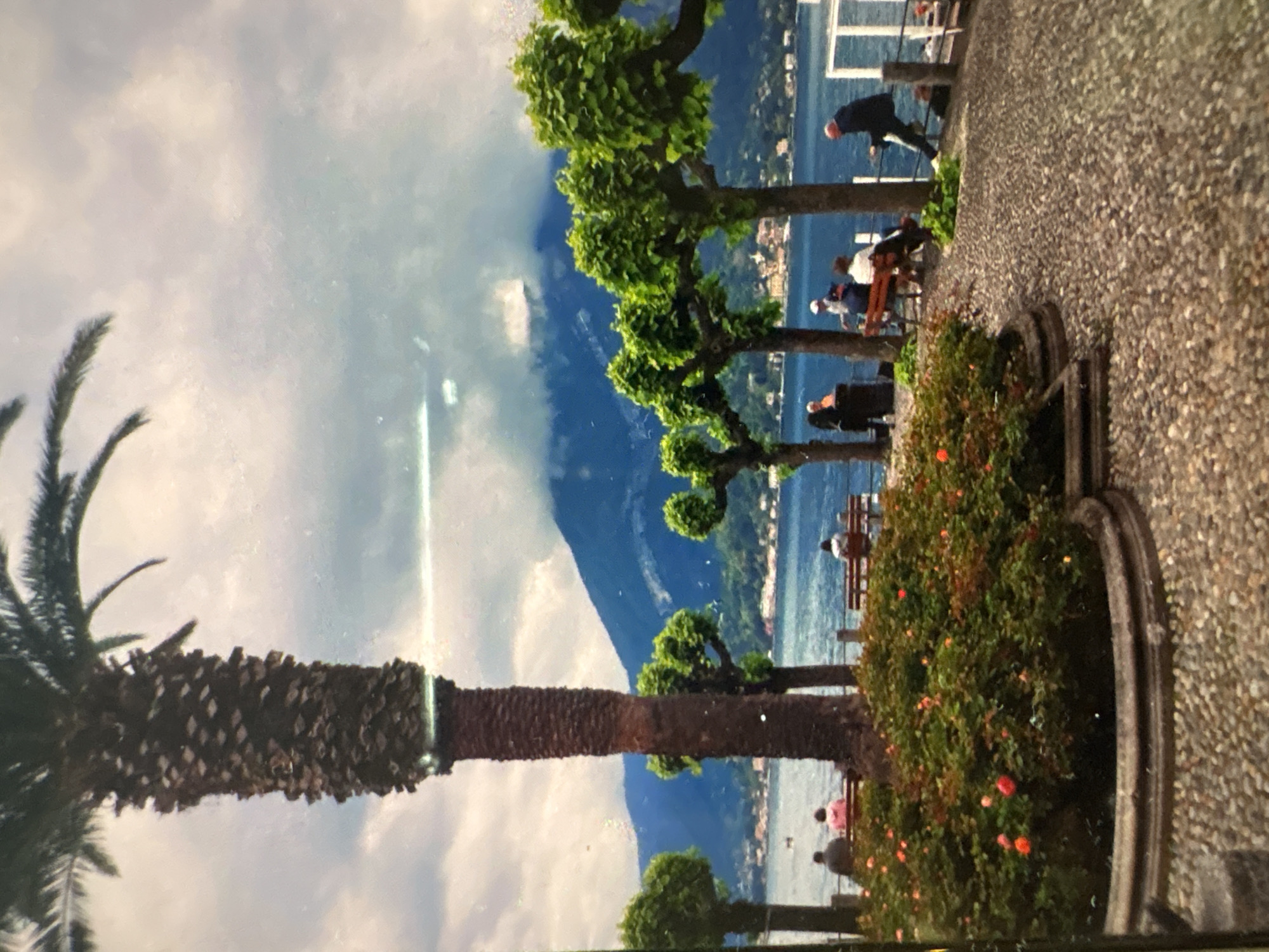 A vertically oriented image captures a serene lakeside or coastal promenade under a partly cloudy sky. On the left side, a tall palm tree with a textured brown trunk and green fronds stands in the foreground. To its right, a wide pebbled path extends into the distance, edged by a low stone planter filled with a lush green bush adorned with small red flowers.
Several uniformly pruned trees with dense green canopies line the path, separating it from a vast expanse of tranquil blue water, likely a lake. Across the water, distant blue mountains rise majestically, with small towns or villages dotted along their base. A white railing borders the water's edge.
Numerous people are visible along the promenade. Some are walking leisurely, while others are seated on benches, enjoying the view of the water and mountains. One person in a dark jacket is leaning against the railing, looking out at the lake. The scene suggests a pleasant daytime, possibly late morning or afternoon, with soft, diffused light filtering through the clouds. The setting evokes a sense of relaxation and natural beauty. No text is visible in the image.