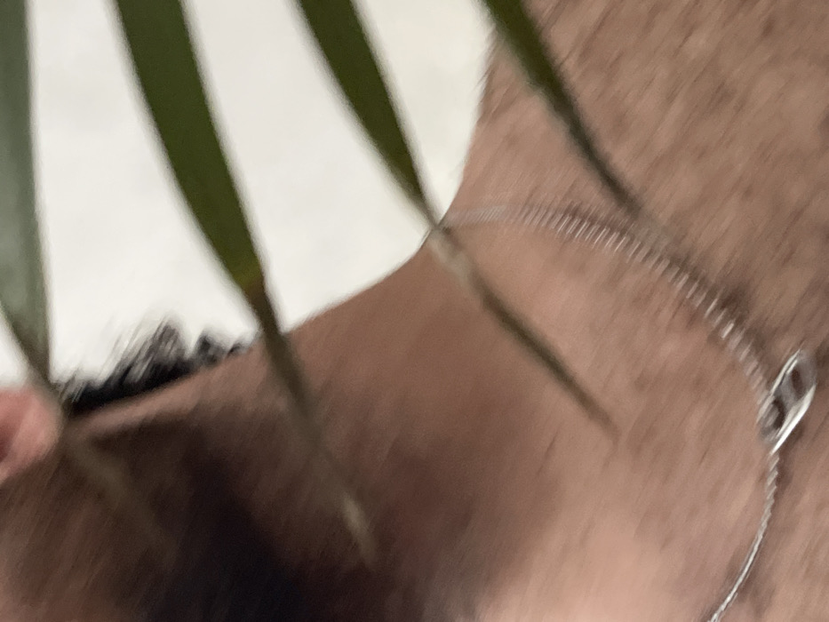 A close-up, abstract photograph captures a segment of a person's upper body, specifically the neck and shoulder area, partially obscured by green plant leaves. The dominant elements are the person's medium to dark brown skin, several long, slender green leaves, and a delicate silver-colored necklace.
The skin fills a significant portion of the frame, showing subtle textures and what appears to be short hair or stubble, particularly on the shoulder/upper chest area. On the left side of the frame, a mass of dark, possibly curly hair is visible, suggesting the person's head or hairline is just out of view or partially obscured by the foreground.
Several prominent green leaves, appearing long and blade-like, cross the image diagonally from various angles, creating a sense of depth and partially framing the subject. These leaves are relatively in focus, indicating they are close to the camera, creating a layered effect over the person's body.
Around the person's neck, a thin, silver-colored chain necklace is visible. It drapes across the skin, with a small, reflective silver pendant (possibly a circular or abstract shape) resting near the right edge of the frame.
The background behind the person is indistinct and uniformly light-colored, suggesting a blurred wall or an ambient light source, contributing to the shallow depth of field that keeps the focus on the skin, leaves, and necklace. No specific activity is discernible from the image; it appears to be a still, intimate portrait focusing on textures and close details. No text is visible in the image.