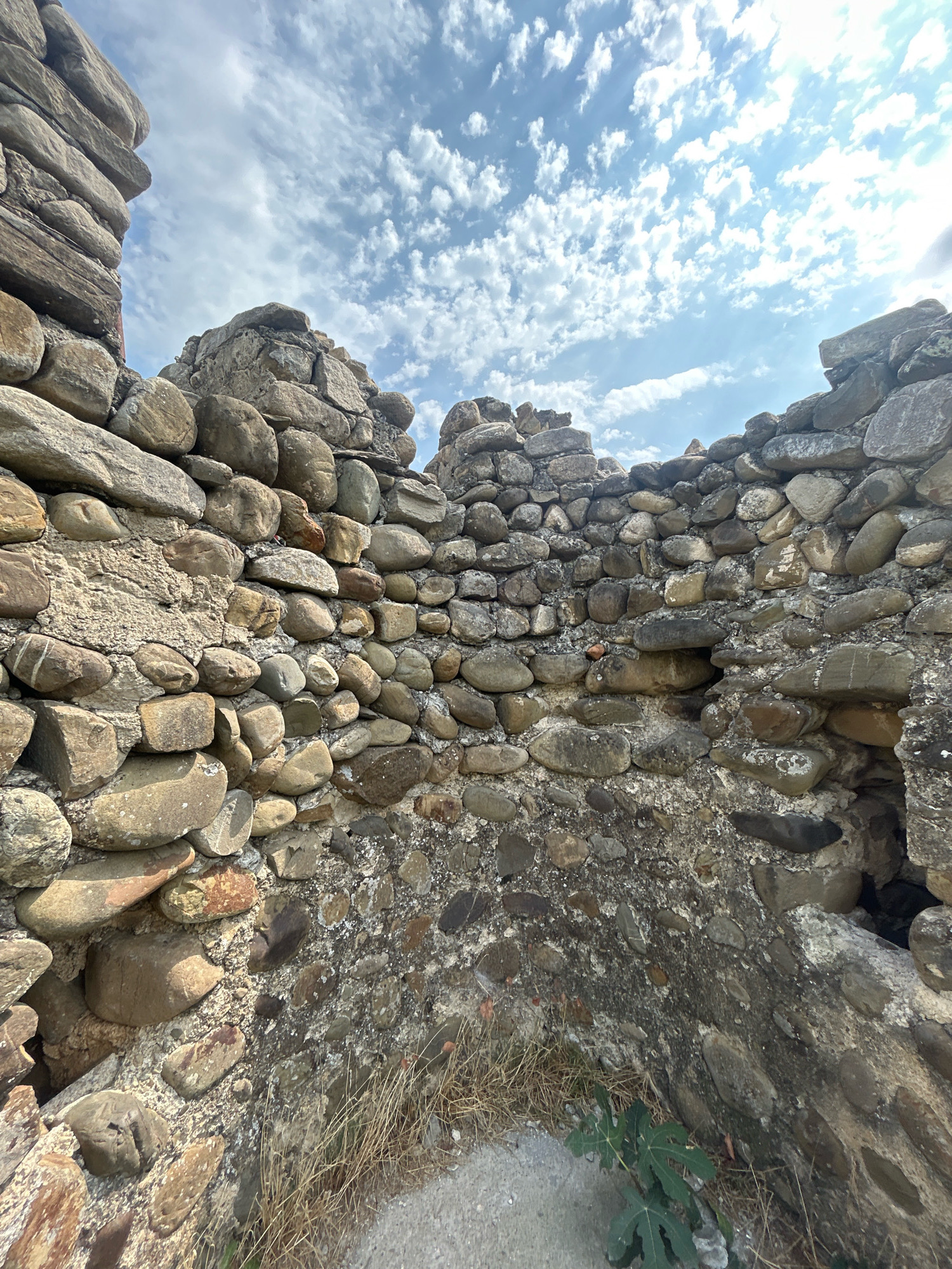 The image depicts the interior of a circular stone structure, likely an ancient tower or fortification, located in the city of Sighnaghi, Georgia. The walls are constructed from a combination of large, rounded river stones and smaller, more irregularly shaped rocks, bound together with mortar. The stones vary in color from light tan to dark gray, with some showing signs of weathering and erosion. The mortar is a pale, sandy color and appears to be applied in an uneven manner.
The perspective is looking upwards and inwards, emphasizing the curved walls and the sky above. The sky is blue with scattered white clouds, some of which are wispy and elongated, suggesting a breezy day. The light suggests it is daytime, likely mid-morning or afternoon, with the sun filtering through the clouds.
In the foreground, the ground is a mix of dirt, gravel, and dried grass, with a small, green plant with broad leaves growing in the lower right corner. The overall impression is one of ancient ruins, weathered by time and exposed to the elements. There are no people or animals visible in the image, and no actions or interactions are depicted. The focus is solely on the architectural remnants and the natural environment.