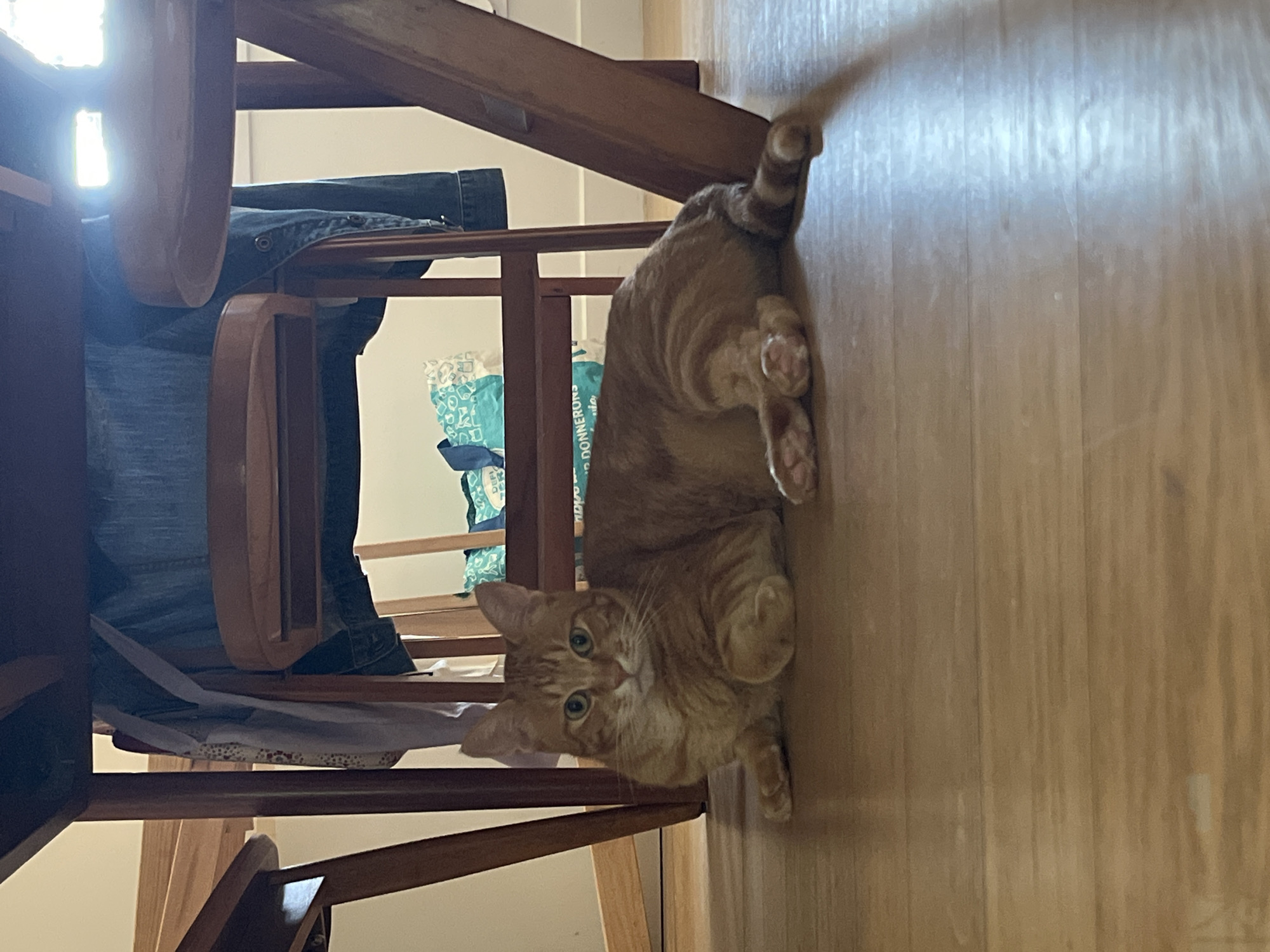 An orange tabby cat is lying on a wooden floor beneath a dark wooden table and chairs. The cat is facing the camera with its body mostly on its left side, and its front paws are crossed. Behind the cat, on the floor, are several shopping bags, one of which is blue and white with text. A pair of blue jeans is draped over the back of one of the chairs. The lighting suggests it is daytime, with sunlight coming from the right. The scene appears to be indoors, possibly in a dining area. This image was taken in Villejuif, France.