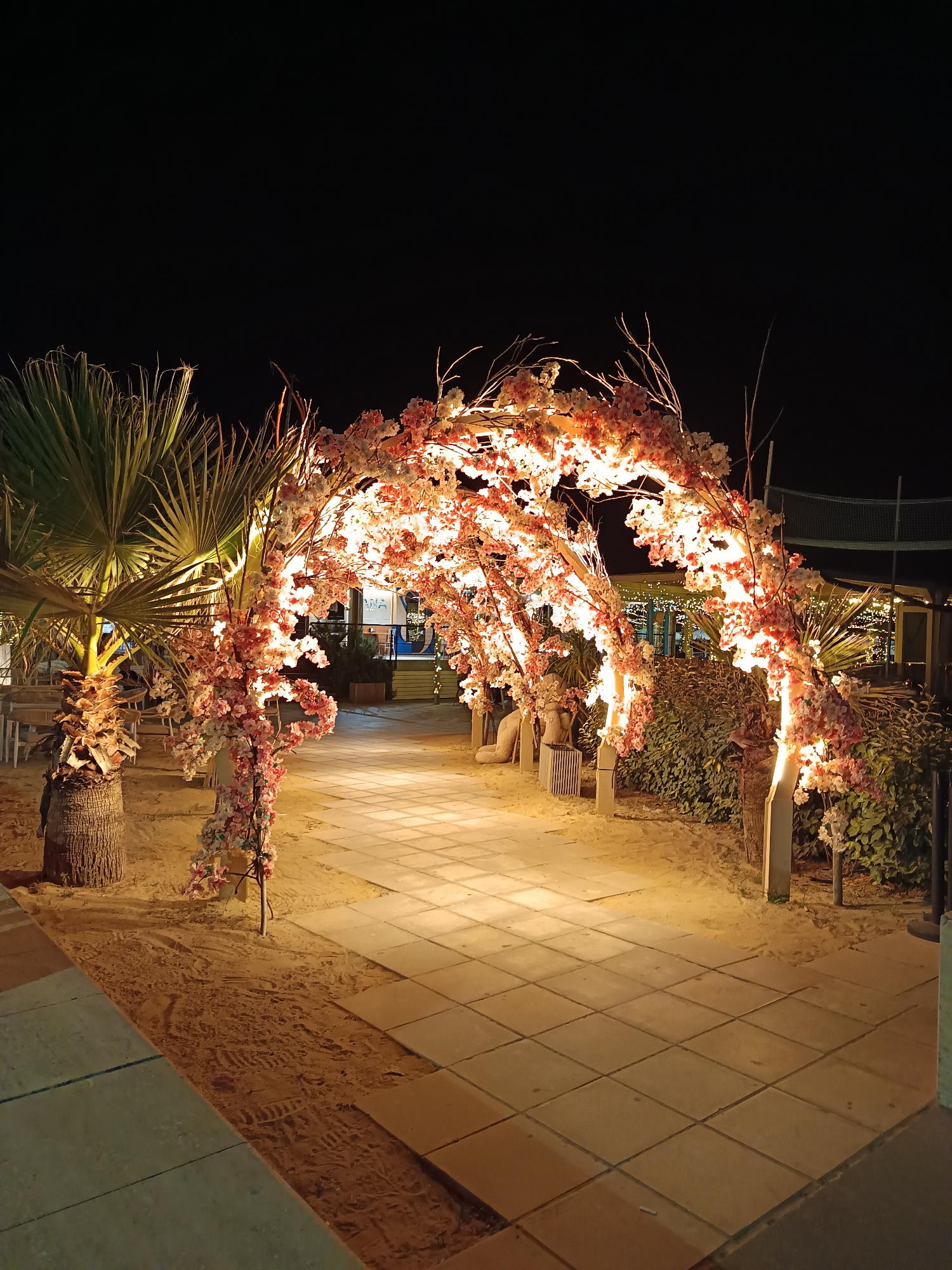 This image depicts an illuminated floral archway at night, likely situated in a beachside or outdoor venue in Roseto degli Abruzzi, Italy. The archway is adorned with artificial pink and white blossoms and lights, creating a warm glow. To the left of the arch, a palm tree with a rough, textured trunk is visible, also illuminated. The ground is a mixture of sand and paved tiles, suggesting a pathway or promenade. In the background, there are glimpses of seating areas and structures, possibly part of a restaurant or event space, with more decorative lights strung across. The scene is serene and festive, indicating a possibly special occasion or an inviting ambiance for visitors.