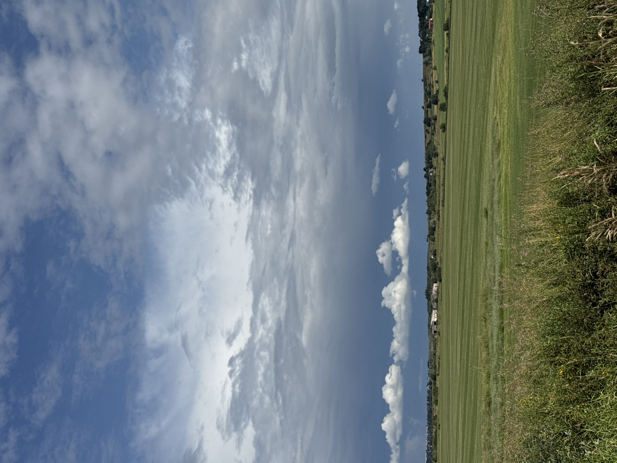 The image depicts a vast, green field with neatly trimmed rows, indicative of agricultural cultivation. In the background, a low-lying horizon is dotted with scattered buildings and trees, suggesting a rural or semi-rural environment. The sky above is dramatic, characterized by a mix of dark, heavy clouds and lighter, wispy formations against a clear blue expanse. The foreground features tall, dry grasses and vegetation, adding a natural, untamed element to the landscape. The scene is devoid of any human presence or discernible activity, creating a sense of solitude. The lighting suggests it is daytime, possibly late afternoon, given the contrast and shadows. While the image captures a scenic view, no specific landmarks or details point to the city of Kempelevo, Russia.