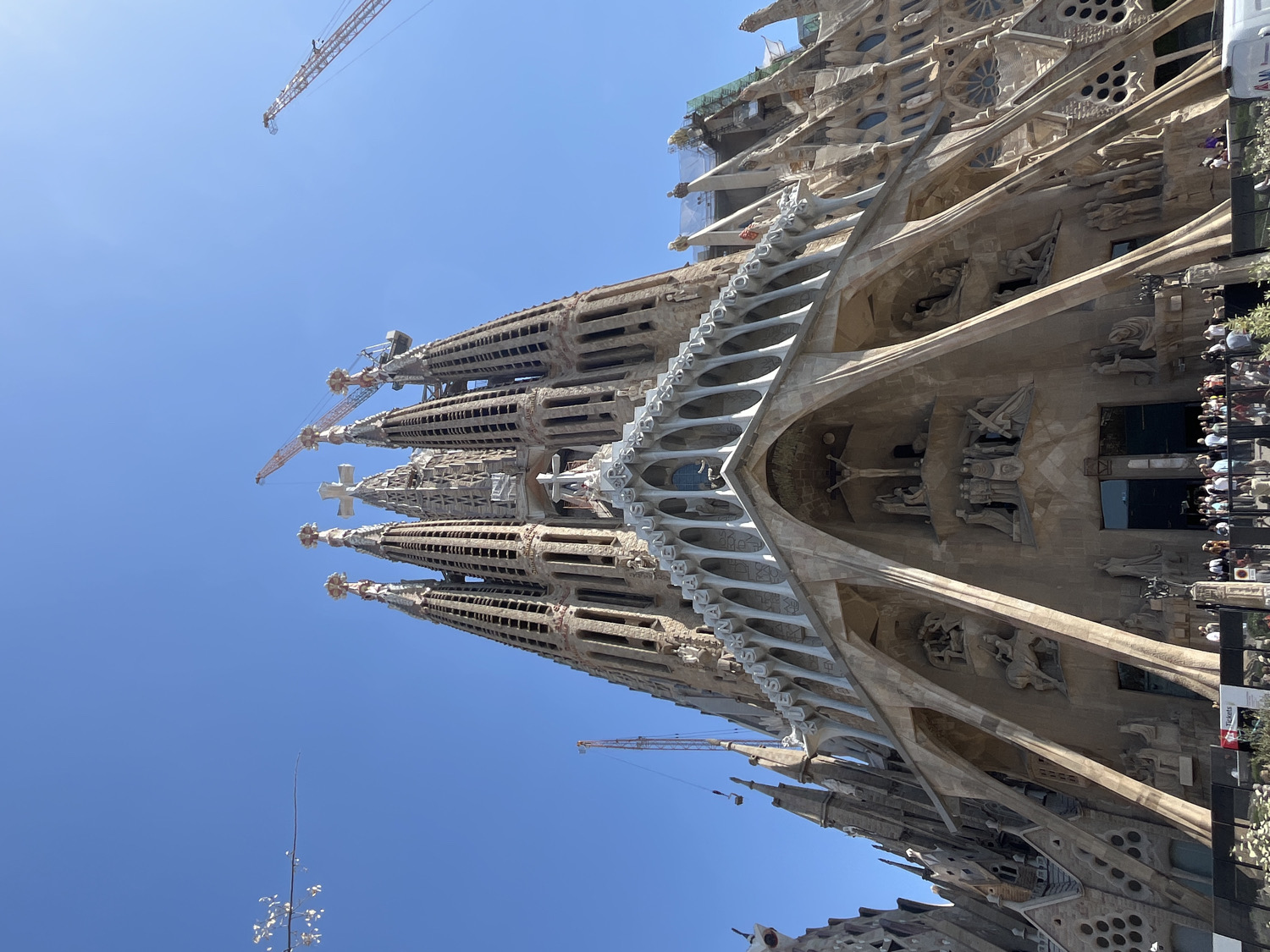 This image captures an upward, panoramic view of the Sagrada Familia basilica in Barcelona, Spain, under a clear, bright blue sky. The massive, highly ornate structure dominates the frame, showcasing its intricate Gothic and Art Nouveau architectural details. Several tall, slender spires, characteristic of the basilica, rise towards the sky, each topped with unique decorative elements. The stonework is rich with carvings, arches, and sculptural reliefs, particularly prominent on the main facade visible in the foreground.
The basilica is depicted as an active construction site, with several large orange and white construction cranes positioned around and above the existing towers, indicating ongoing work. Scaffolding is also visible in various sections, especially on the upper parts of the structure.
To the right side of the main facade, a considerable crowd of people, likely tourists or visitors, can be seen gathered. Their small size against the colossal building emphasizes the scale of the architecture. A visible sign among the crowd reads "TICKETS," suggesting an entrance or ticketing area. In the lower left foreground, a bare plant stem with delicate white blossoms or leaves adds a natural element. The bright, even lighting suggests it is daytime, possibly midday, on a sunny day. The overall scene conveys the grandeur and continuous development of this iconic landmark.