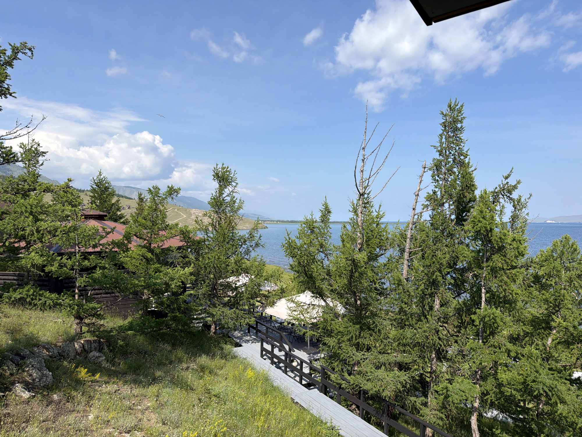 The image depicts a scenic view of Lake Baikal from a lakeside resort in Sarma, Russia. The foreground is dominated by lush green coniferous trees, their branches reaching towards a clear blue sky dotted with fluffy white clouds. A wooden walkway with dark railings winds down through the trees, leading to an outdoor seating area with white umbrellas and tables set for dining. In the middle ground, a rustic wooden cabin with a reddish-brown roof is partially visible amongst the trees. The background reveals the vast expanse of Lake Baikal, its calm waters stretching towards the horizon where distant hills and landmasses can be seen. The overall atmosphere is one of tranquility and natural beauty, suggesting a peaceful retreat in a remote, natural setting.