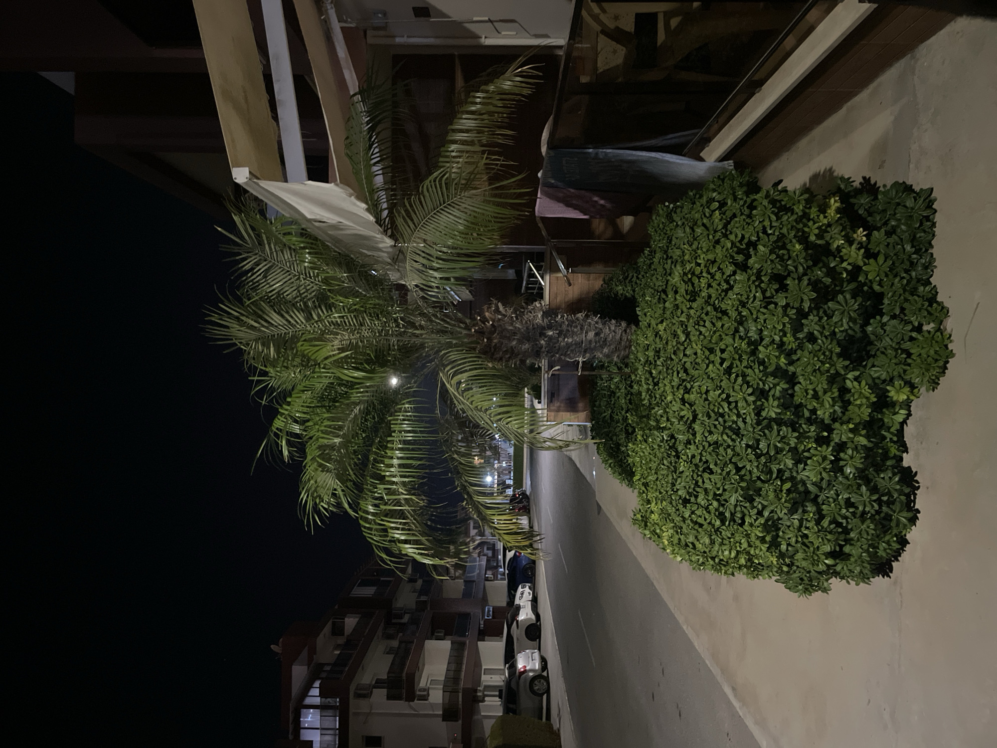 The image depicts a street scene at night in Trikomo, Northern Cyprus. A palm tree stands prominently in the foreground, surrounded by dense green foliage. To the left, a paved road runs alongside parked cars, including a silver hatchback, a white sedan, and a dark blue sedan. Beyond the road, apartment buildings with multiple stories and balconies are visible, illuminated by interior lights. A balcony on the right side of the frame features awnings and hanging towels. The overall environment suggests a residential or mixed-use urban area at night.