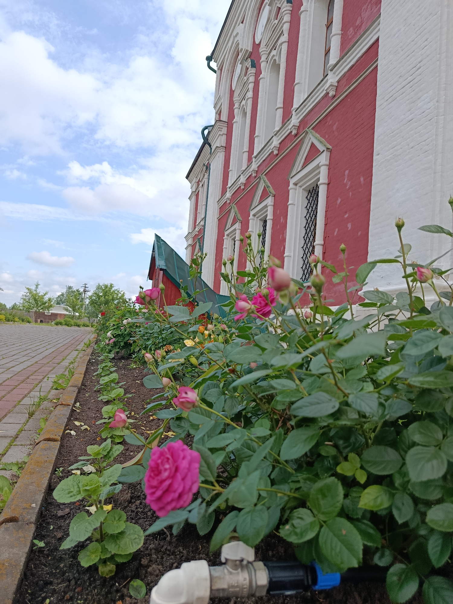 The image shows a close-up view of a flowerbed with pink roses in the foreground, with a red brick building with white trim in the background. The building appears to be a church or other historical structure. A paved walkway runs along the left side of the flowerbed, and a green roofed structure is visible behind the roses. The sky is cloudy and blue. The location is Radovitsy, Russia.