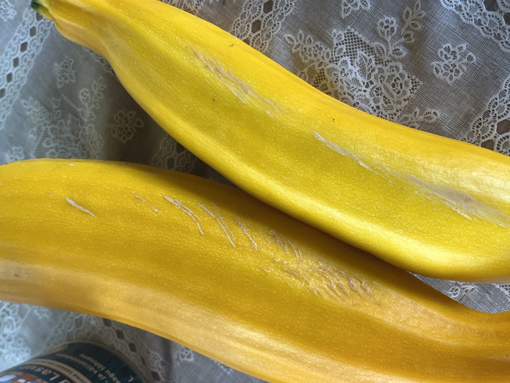 The image shows two yellow zucchini laying on a white lace tablecloth. The zucchini are positioned diagonally across the frame, with the left zucchini larger and partially obscuring the right one. The zucchini have smooth, vibrant yellow skin with some subtle lighter streaks and minor imperfections, suggesting they are fresh produce. The lace tablecloth has a floral pattern and is laid out in a way that suggests it is a decorative element. In the upper left corner, a small portion of a dark blue and white label from a container is visible, with some text in a foreign language. The lighting is natural and casts soft shadows, highlighting the texture of the zucchini and the lace. The overall scene suggests a domestic setting, possibly a kitchen or dining area. There are no people visible in the image. The image does not provide any specific details that would allow for the identification of a location in the city of Kaunas, Lithuania.