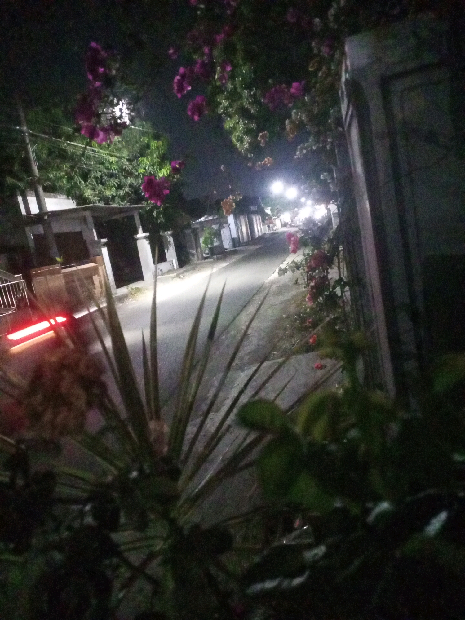 The image depicts a dimly lit street scene at night, likely in the city of Ngasem, Indonesia. In the foreground, blurred foliage and spiky green plants obscure a significant portion of the view. Beyond the plants, a paved road stretches into the distance, illuminated by streetlights. Buildings are visible on either side of the road, with some appearing to be houses with covered porches. A red light, possibly from a vehicle's taillight, is visible on the left side of the frame. Pink and purple flowers hang from trees or vines, adding a touch of color to the dark environment. The overall impression is one of a quiet, residential street after dark.