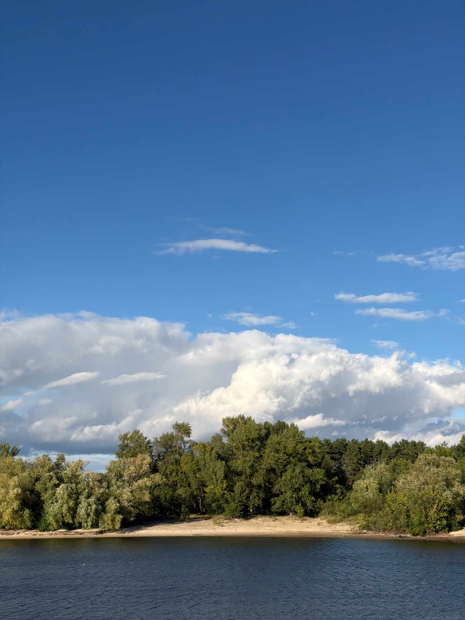 The image depicts a wide, dark blue body of water in the foreground. The water's surface is rippled, suggesting a gentle current or breeze. Beyond the water, a sandy beach is visible, backed by a dense line of trees. The trees vary in color and foliage, with some appearing lush green and others showing hints of yellow, indicative of a seasonal change. The sky above is a vibrant blue, dotted with scattered white clouds of varying sizes and densities. The overall scene conveys a natural, tranquil landscape.