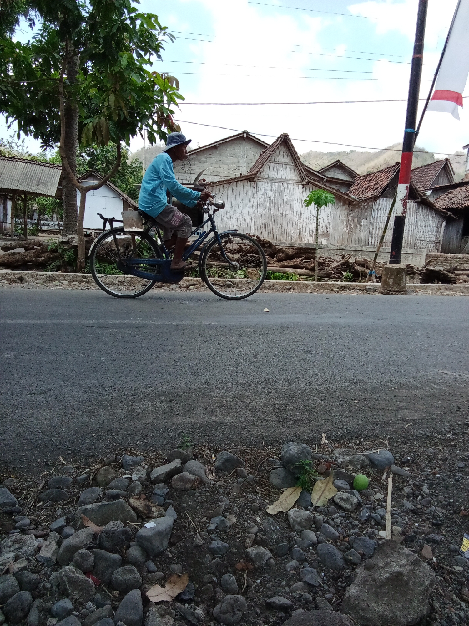 A man wearing a blue long-sleeved shirt, shorts, and a blue hat rides a dark blue bicycle on a paved road. He is in profile, facing left, with his head turned slightly towards the viewer. The bicycle has a silver handlebar, a black frame, and a silver basket on the back. The man's left foot is on the pedal, and his right foot is on the ground.
In the background, there are several traditional Indonesian houses with thatched roofs and wooden walls. A tall tree with green leaves is to the left of the houses. A flag with red and white stripes is attached to a pole on the right side of the frame. The sky is cloudy.
The foreground of the image is a rocky area beside the road. There are many gray and black stones of various sizes, as well as some dry leaves and twigs. A small green fruit, possibly a lime, is visible among the rocks.
The scene appears to be in a rural or semi-rural area. The architecture of the houses and the presence of the bicycle suggest a location in Indonesia. Trebungan, Indonesia, is a village in the province of East Java, known for its traditional way of life.