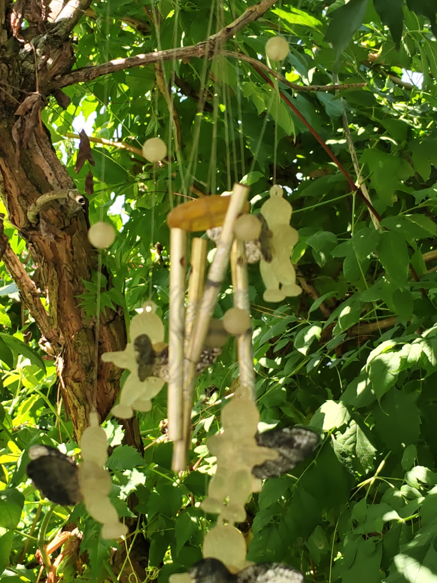 A close-up shot captures a wind chime hanging from a tree branch in Olginskaya, Russia. The wind chime features several pale, translucent figures, possibly representations of angels or fairies, interspersed with metallic tubes. Some figures have dark, textured elements attached to them, possibly natural materials like feathers or dried leaves. The background is filled with lush green foliage, indicating a natural, outdoor setting, likely a garden or park. Sunlight filters through the leaves, creating dappled light and shadows on the scene. The tree trunk on the left side of the frame is rough and textured, adding a natural element to the composition.