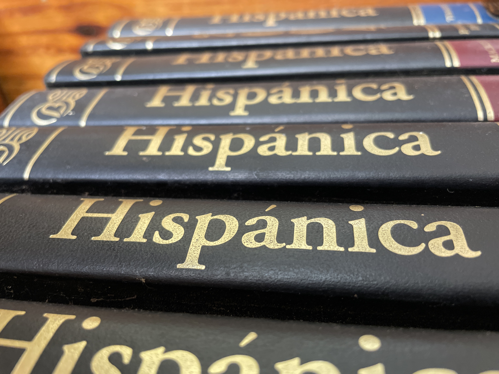 A close-up, eye-level shot shows a row of black hardcover books on a shelf, with their spines facing the camera. The books are arranged in a slightly angled perspective from left to right, with the leftmost book being the most in focus and the others progressively blurring into the background. Each book spine is decorated with gold lettering that reads "Hispanica" in a decorative font. The texture of the book covers appears to be a matte, leather-like material. The background is a warm, out-of-focus wooden surface, suggesting the books are on a wooden shelf or wall. The lighting is soft, highlighting the gold lettering and casting subtle shadows. There are no people or actions depicted in the image.