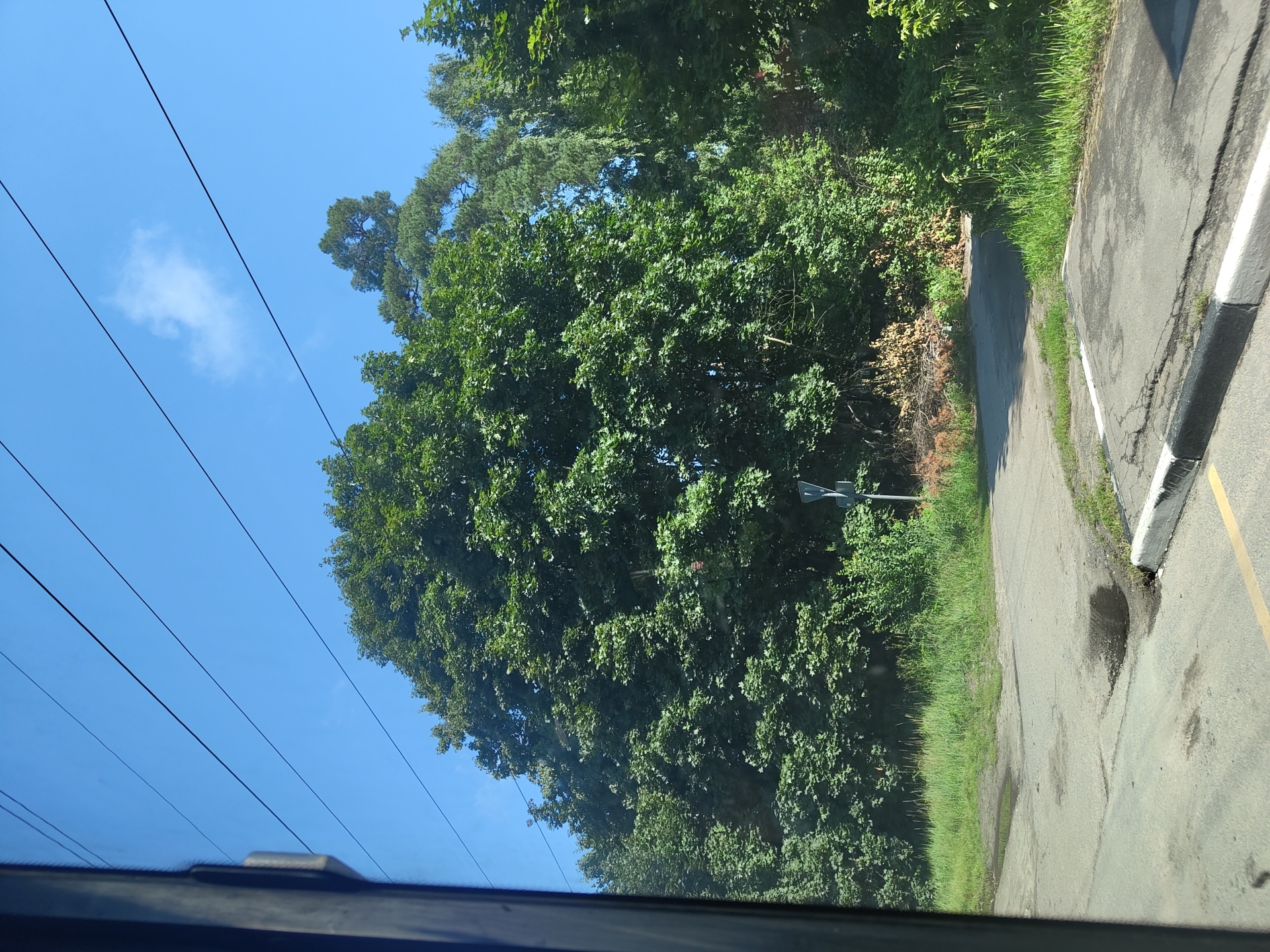 This image captures a view from a vehicle looking out a window, likely during daytime, showing a street scene with abundant greenery. The foreground features a road with some puddles and a concrete curb. To the right, the road curves and leads into a densely wooded area. A yield sign is visible on a post amidst the trees. The sky above is clear blue with a few wisps of clouds, and several power lines stretch across the frame. The overall impression is of a road on the outskirts of a settlement, possibly a town or village, with a significant presence of trees and vegetation. The query also mentions the city of Ramenskoye, Russia, suggesting this scene might be located there.