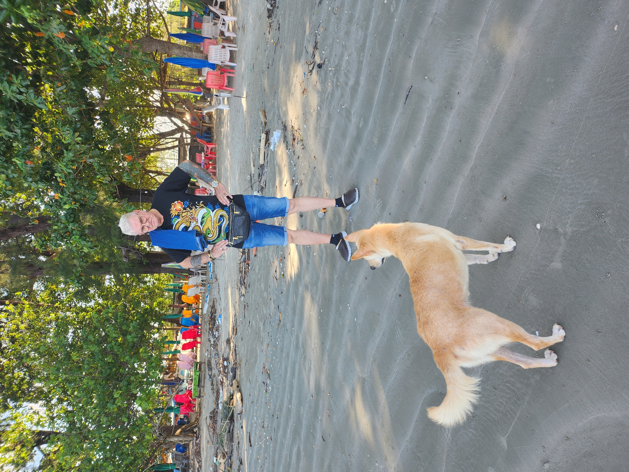 A man with white hair, glasses, and tattoos stands on a sandy beach in Hat Pak Meng, Thailand, facing a light brown dog. He wears a black t-shirt with a dragon design, blue denim shorts, and a black fanny pack. A blue towel is draped over his shoulders. The dog, with its tail held high, looks towards the man. In the background, a row of colorful chairs and umbrellas are set up on the beach, with trees and foliage behind them. The sandy ground shows ripples from the tide, and debris, including driftwood and litter, is scattered across the beach.