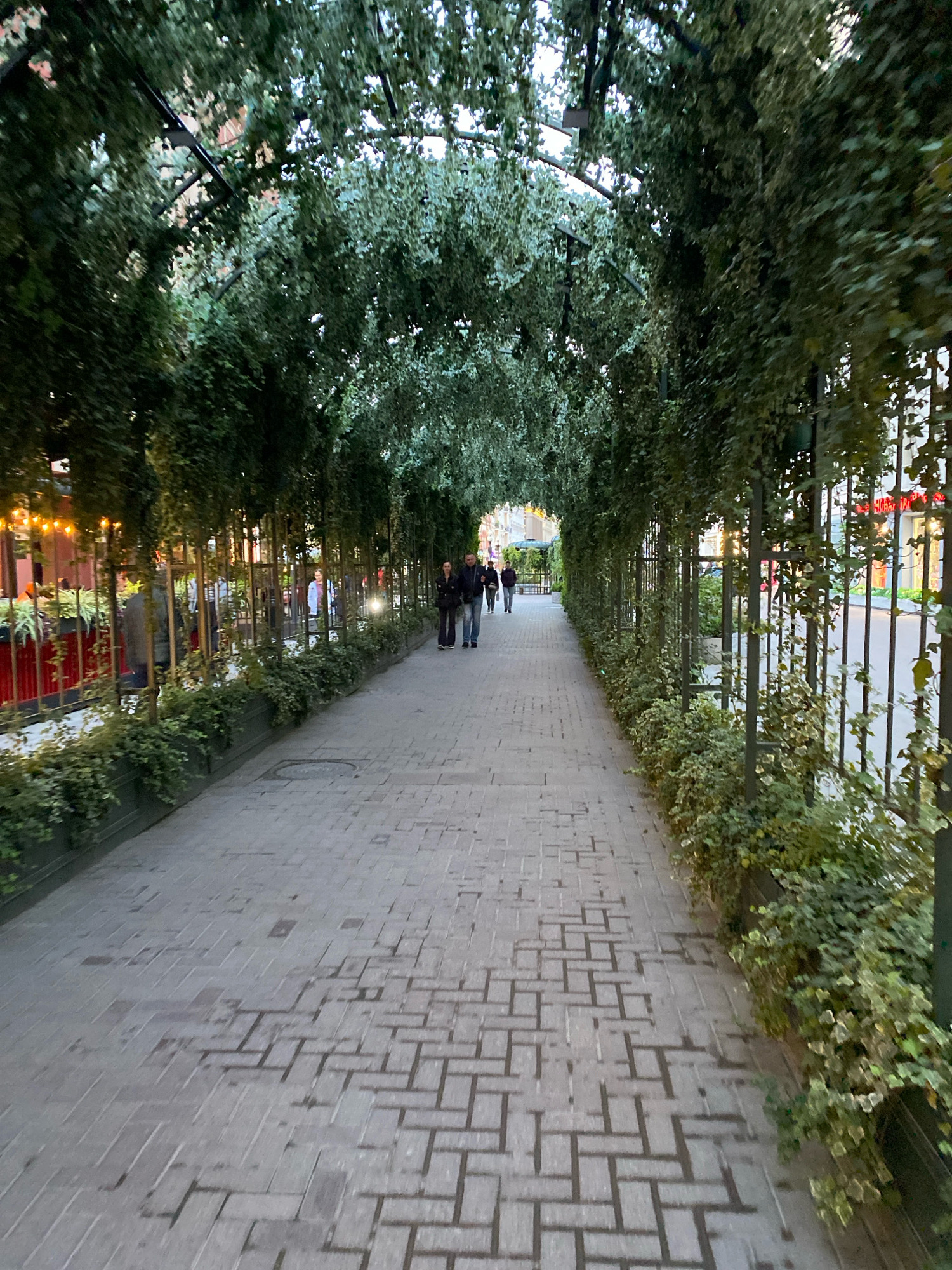 The image depicts an outdoor pedestrian walkway with an overhead canopy of lush green foliage, creating an arched tunnel effect. The walkway is paved with light-colored interlocking bricks, some of which appear slightly damp. The sides of the walkway are lined with planters containing dense green ivy and other low-lying plants, interspersed with dark metal fencing.
In the distance, a few individuals are walking along the path. On the right side of the walkway, a couple, a man and a woman, are walking away from the camera. The man is wearing a dark jacket and jeans, and the woman is in dark pants and a dark jacket. Further ahead, on the left side, another couple is walking away from the camera. The man is wearing a dark jacket and blue jeans, and the woman is wearing a light-colored jacket over dark clothing. There are also glimpses of buildings with storefronts and outdoor seating areas visible beyond the foliage on the left and right sides of the walkway. Some lights are visible in the background, suggesting it may be late afternoon or early evening.
The scene appears to be a public area within a city, likely a pedestrian zone or a promenade. The architecture of the overhead structure, with its metal frame supporting the vegetation, suggests a designed urban landscape intended to provide shade and aesthetic appeal. Based on the visual cues, this location is very likely to be the Tverskaya Plaza in Moscow, Russia, which is known for its similar vine-covered walkways and urban setting.