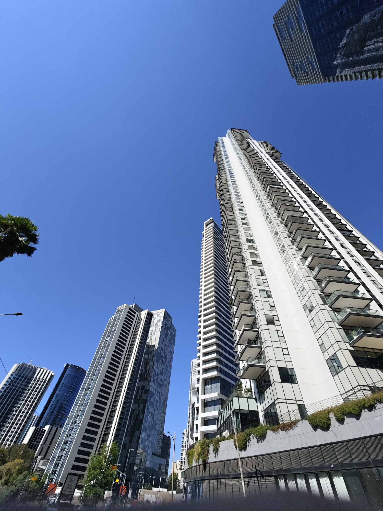 The image captures a low-angle view of modern high-rise buildings against a clear blue sky, likely in the city of Givatayim, Israel. The architecture is characterized by sleek lines, extensive use of glass, and balconies.
One prominent skyscraper, appearing white with numerous balconies, dominates the center of the frame, stretching upwards. To its right, another building with a darker, reflective facade is partially visible, also very tall. To the left, several other skyscrapers with varying designs and materials are seen, including one with a blue-tinted glass facade and another with a predominantly white, patterned exterior.
The foreground shows the lower sections of some buildings, including what appears to be retail spaces with large glass windows reflecting the sky and surrounding structures. Lush green vegetation, including trees and hanging plants, is present on some of the building ledges and at street level, providing a contrast to the urban environment. Traffic lights, street lamps, and signage are also visible, suggesting an active urban thoroughfare. A palm tree frond is visible in the upper left corner, indicating a location with such foliage.
There are no people clearly discernible in the image, and the focus is on the architectural landscape under bright daylight conditions. The overall impression is one of a modern, developed urban area.