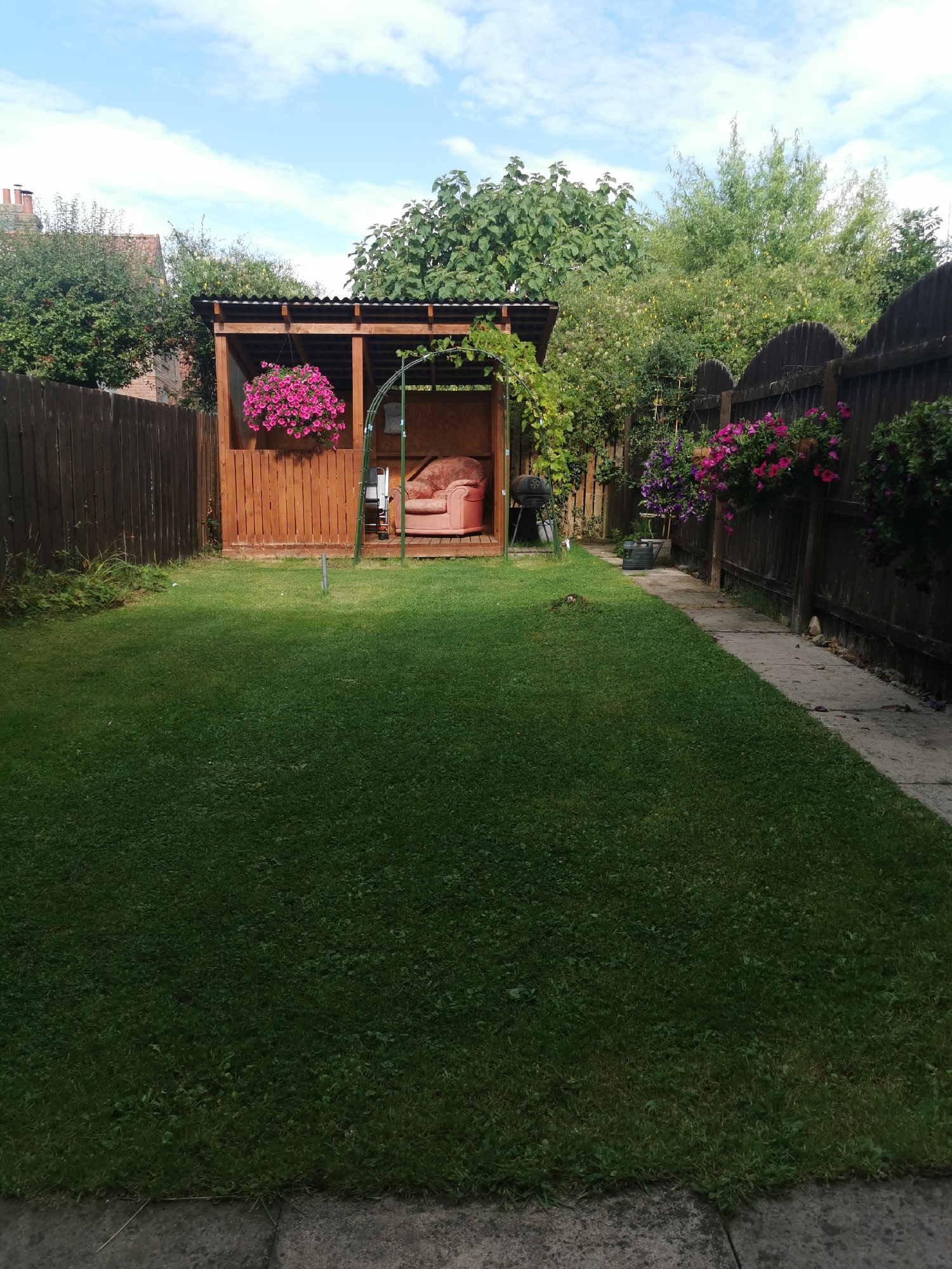 A medium shot captures a backyard in Ripon, United Kingdom, under a partly cloudy sky. The scene is dominated by a lush green lawn that occupies the foreground and midground. To the left, a dark wooden fence runs parallel to a small brick building with a chimney visible above trees.
In the center of the image, a wooden gazebo structure stands, its roof covered with corrugated metal. Inside, a pink armchair is visible, suggesting a seating area. A hanging basket filled with vibrant pink petunias is suspended from the gazebo's frame, adding a splash of color. Green vines climb up one side of the gazebo.
To the right of the gazebo, another dark wooden fence, this one with a decorative arched top, encloses the yard. A concrete path runs along the base of this fence, bordered by more flowerbeds featuring purple and pink blooms. A grey watering can sits on the path. A charcoal grill is partially visible to the left of the gazebo. The overall impression is of a well-maintained, residential garden space.