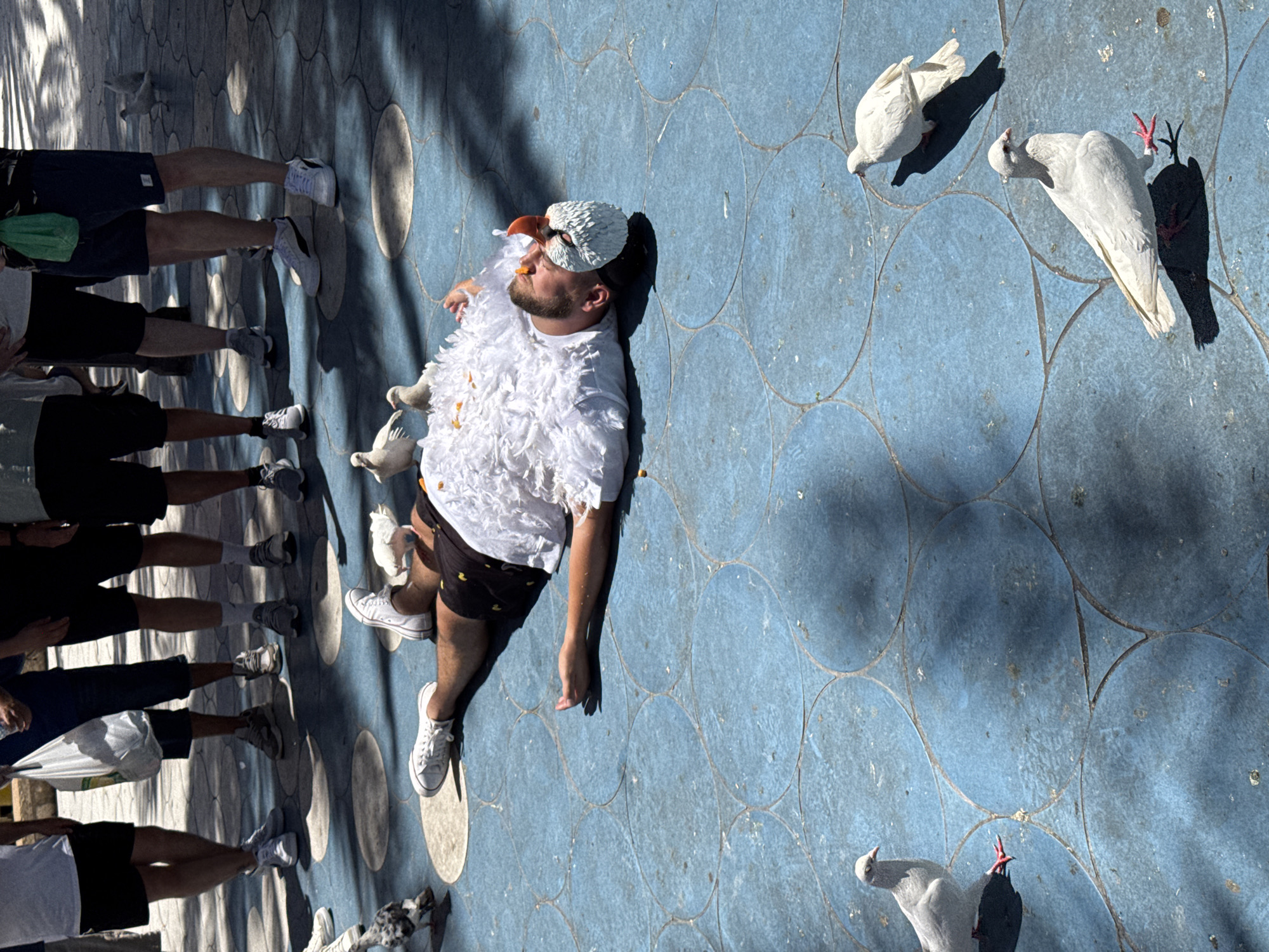 A man wearing a white, feathery costume and a bird mask lies on a blue, circular-patterned pavement in Benidorm, Spain, surrounded by several pigeons. The man is on his back with his arms outstretched. He has a prosthetic orange beak attached to the mask. Some pigeons are pecking at food scattered around him, while others stand nearby. Several people stand in the background, observing the scene. The ground is a vibrant blue with circular, light-colored inlays. Sunlight casts shadows across the pavement.