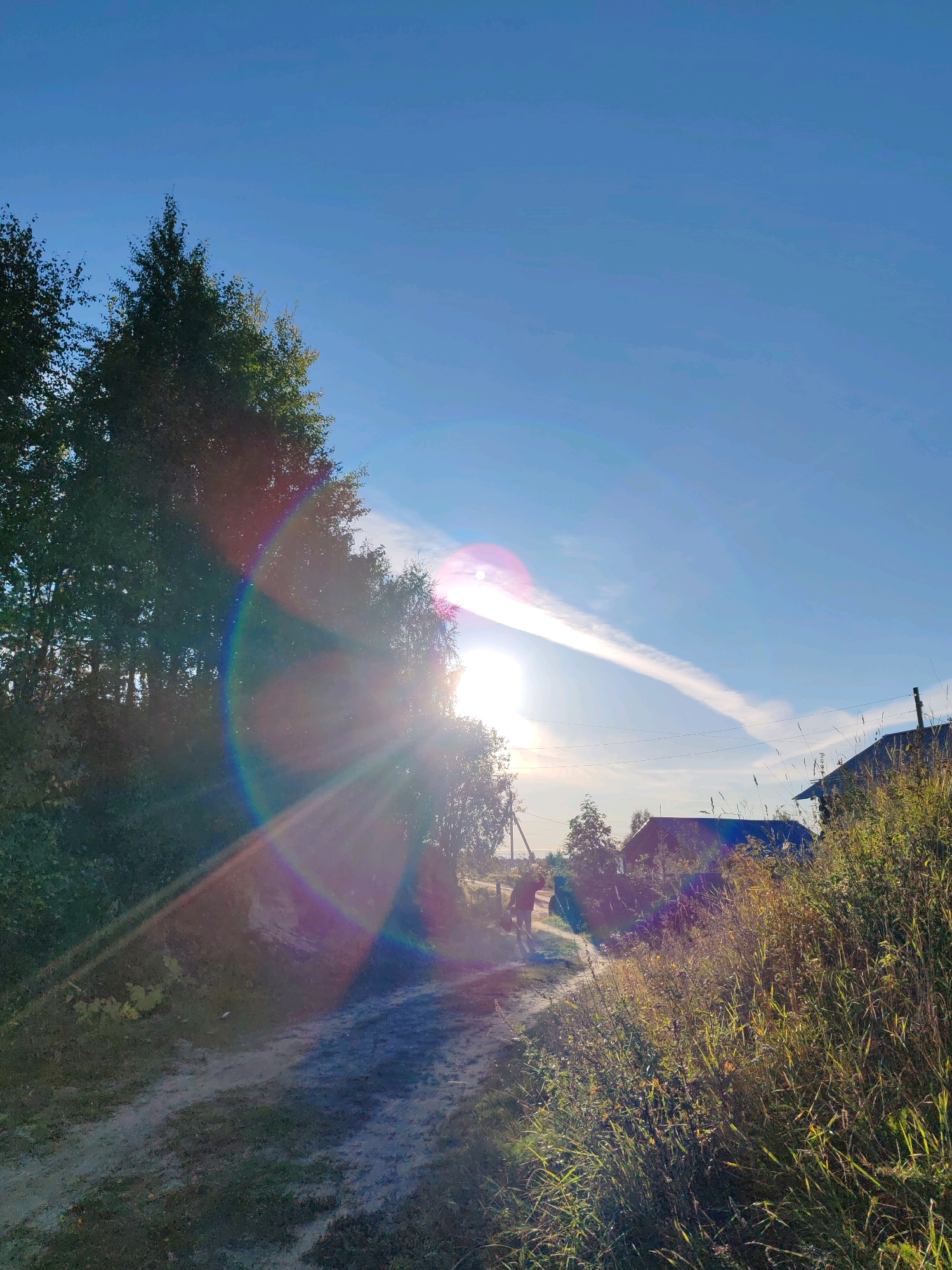 The image shows a dirt path leading through a rural area, likely a village in the city of Chukhlem, Russia, under a bright, clear sky with scattered clouds. The sun is low in the sky, casting long shadows and creating strong lens flares with rainbow effects across the scene.
On the left side of the path, tall, leafy trees dominate the foreground, with some appearing to be birch trees due to their light bark. The path itself is dusty and uneven, with patches of grass growing on its edges. To the right of the path, a dense growth of tall, dry grass and other vegetation slopes upwards, obscuring the ground beneath.
Further down the path, a solitary figure, possibly a person wearing a red jacket, is walking away from the viewer. Behind the vegetation on the right, two houses with dark roofs are visible, suggesting a residential area. Power lines are also present, strung between utility poles. The overall impression is one of a serene, late afternoon or early morning rural landscape.