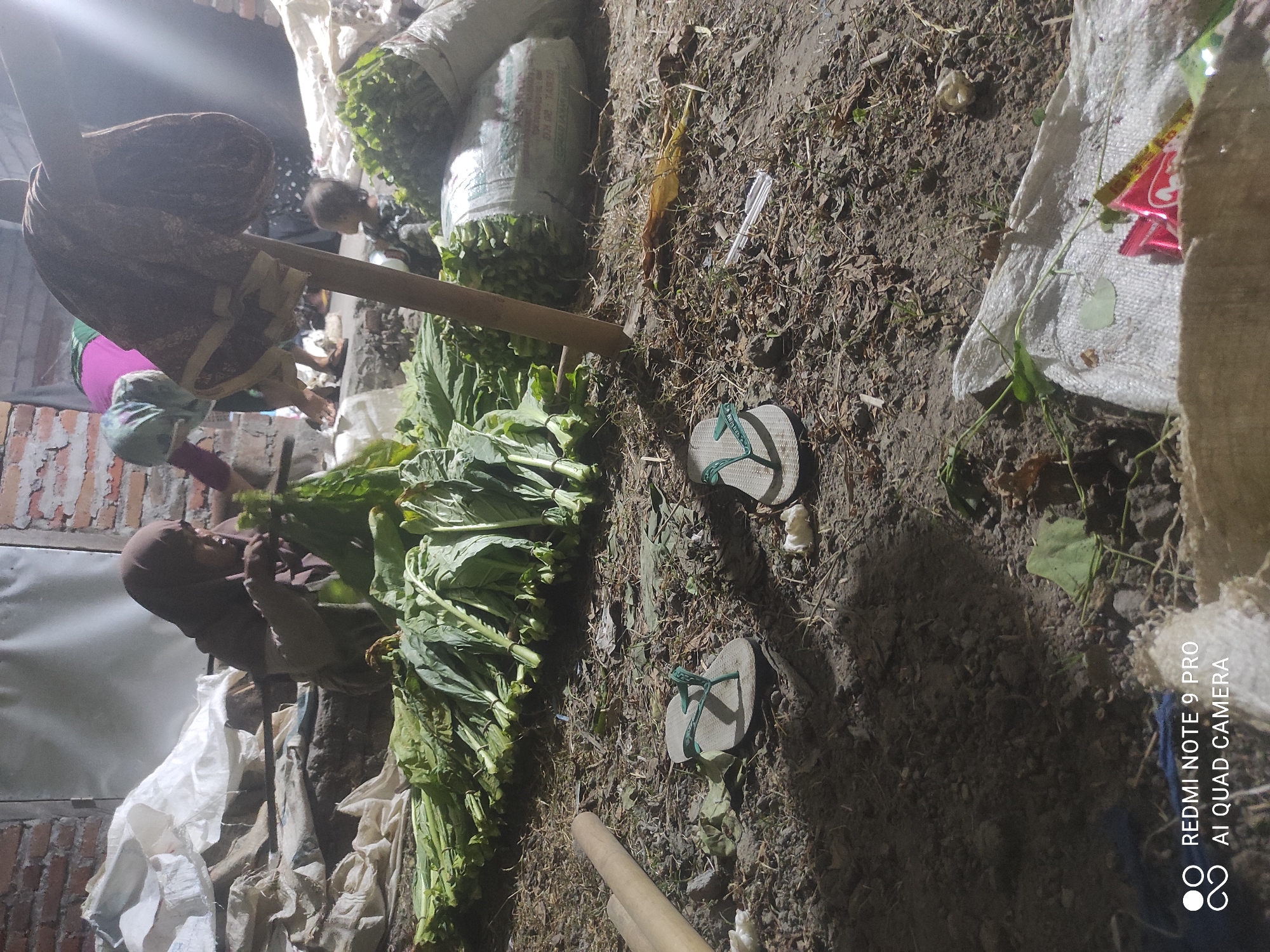 In Lekor, Indonesia, at night, a woman wearing a hijab is seen tending to a large pile of harvested green produce. She is dressed in a brown hijab and a greyish-brown outfit. To her right, another person, partially visible and wearing a pink head covering and a green garment, is also engaged with the produce. In the background, a child is standing near a white sack filled with more green produce. The scene unfolds on a dirt ground littered with dry leaves and debris. In the foreground, two pairs of flip-flops are lying on the ground. A wooden pole stands vertically, draped with a patterned cloth. The overall environment appears to be an outdoor storage or processing area, possibly for agricultural goods, illuminated by artificial lighting that casts shadows and highlights the subjects and their activities.